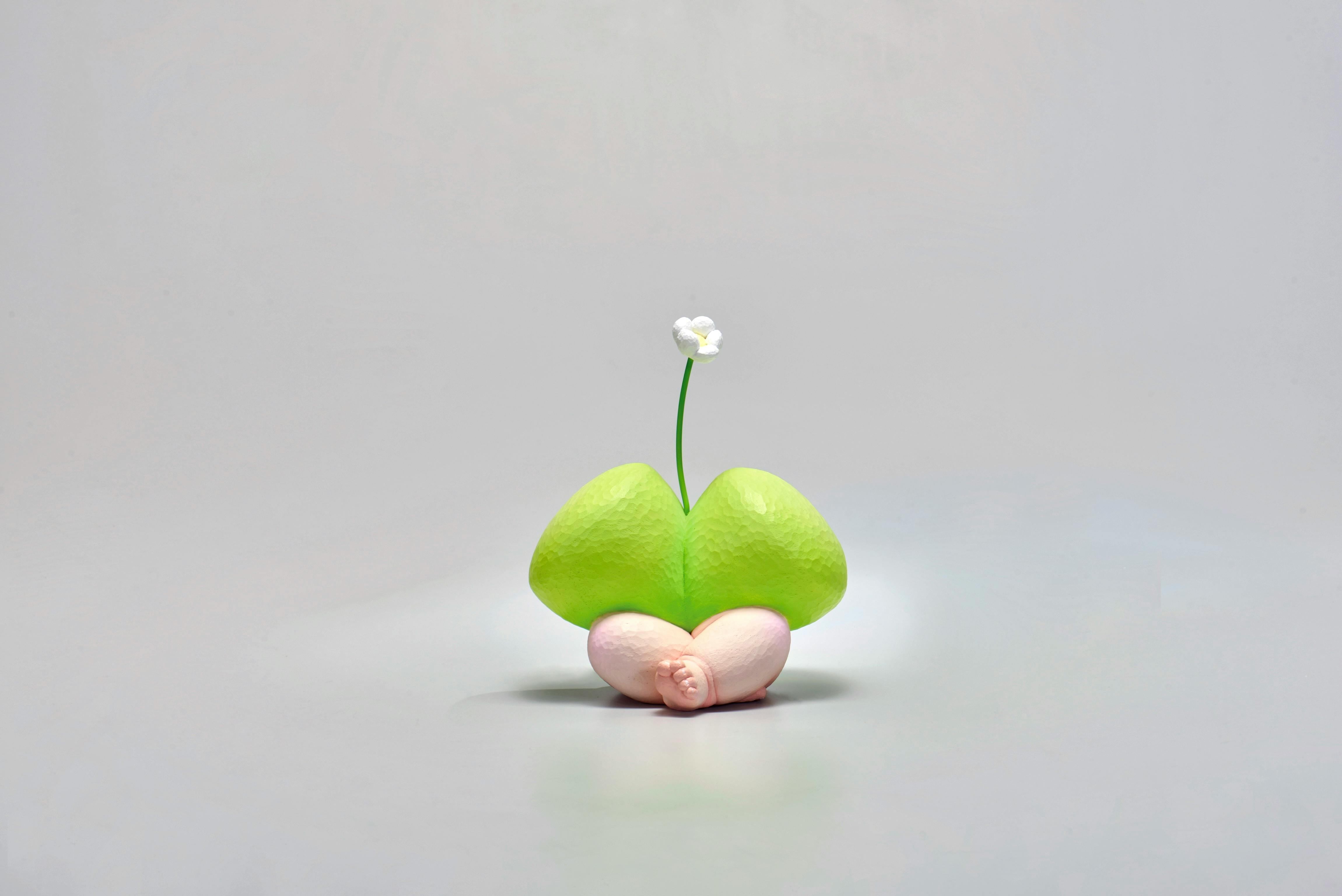 The View of Summer Mountain