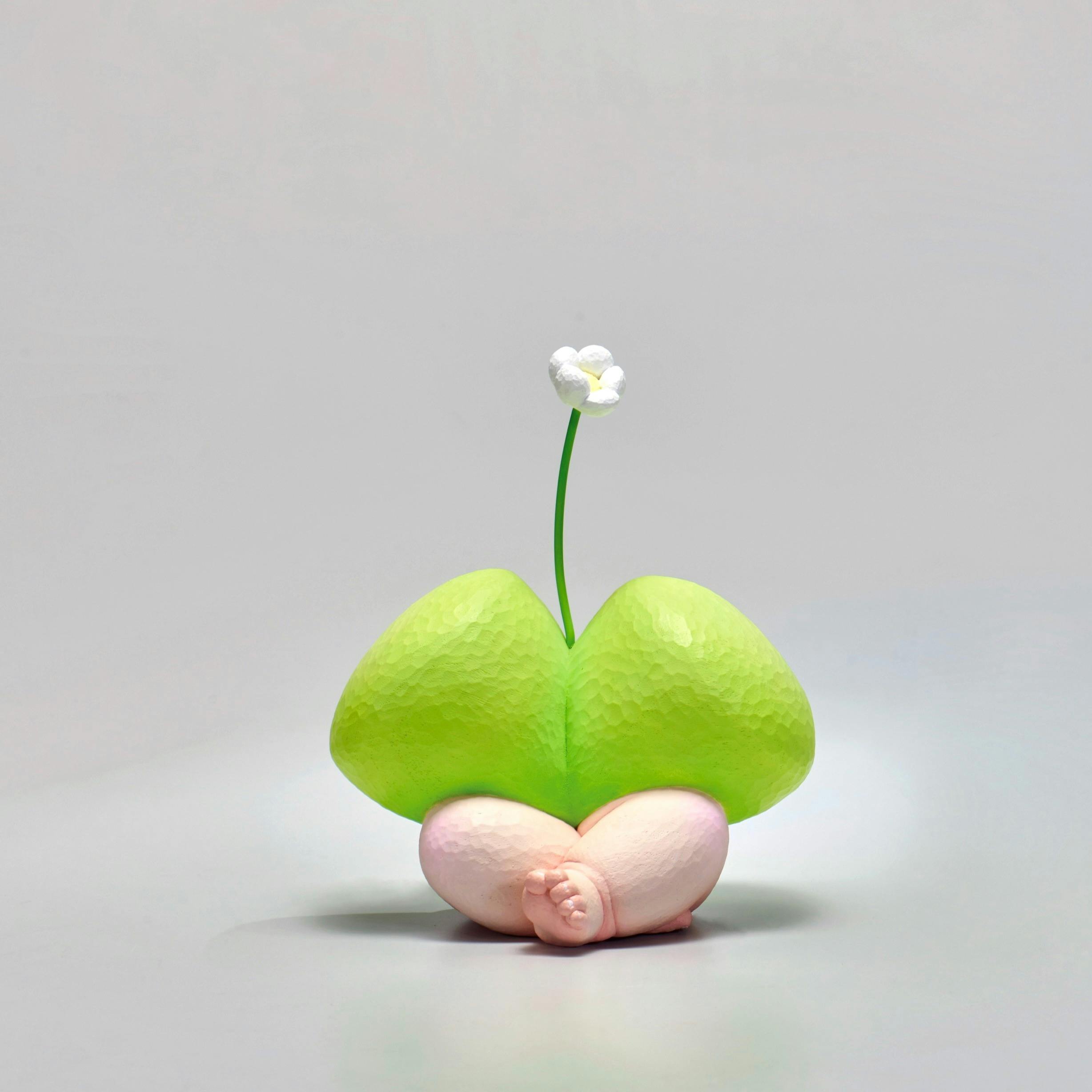 The View of Summer Mountain