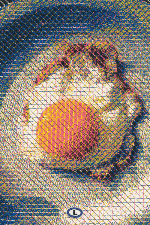 Embroidery Print Poster - Tamago