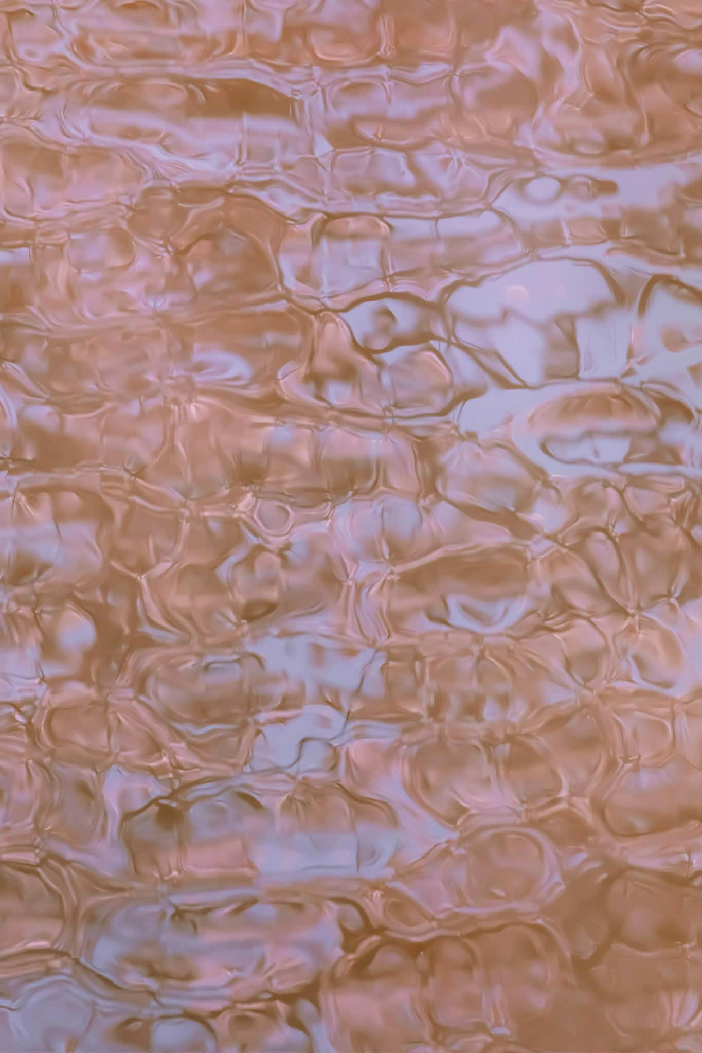 flow/float ― 源流　渋谷川　新宿御苑 #3（春を恨みはしない）