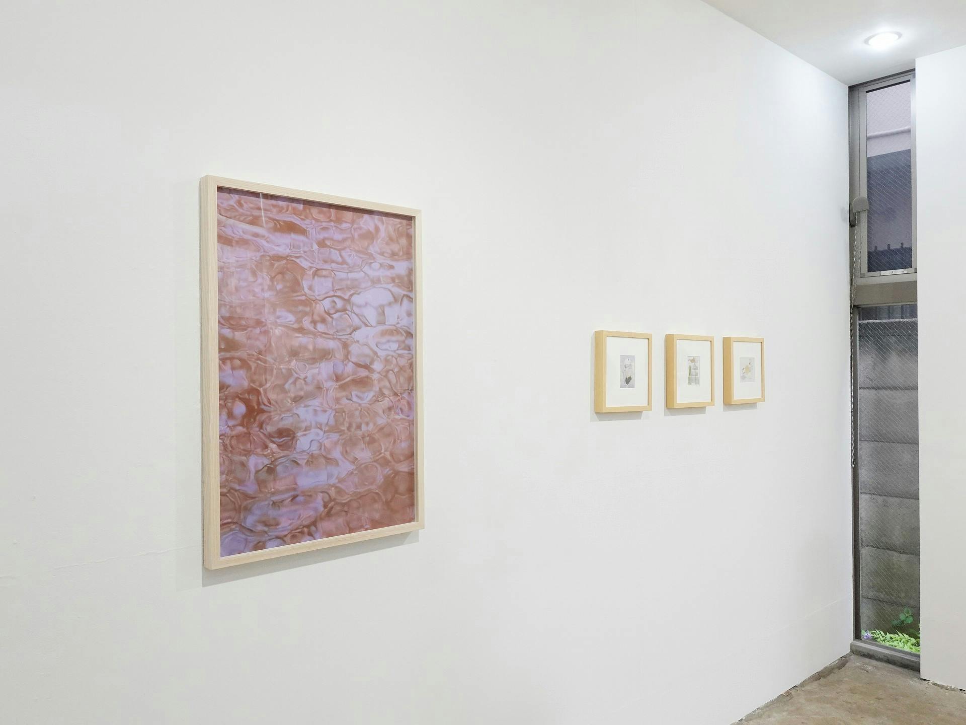 flow/float ― 源流　渋谷川　新宿御苑 #3（春を恨みはしない）