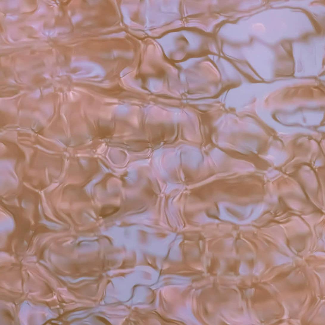 flow/float ― 源流　渋谷川　新宿御苑 #3（春を恨みはしない）