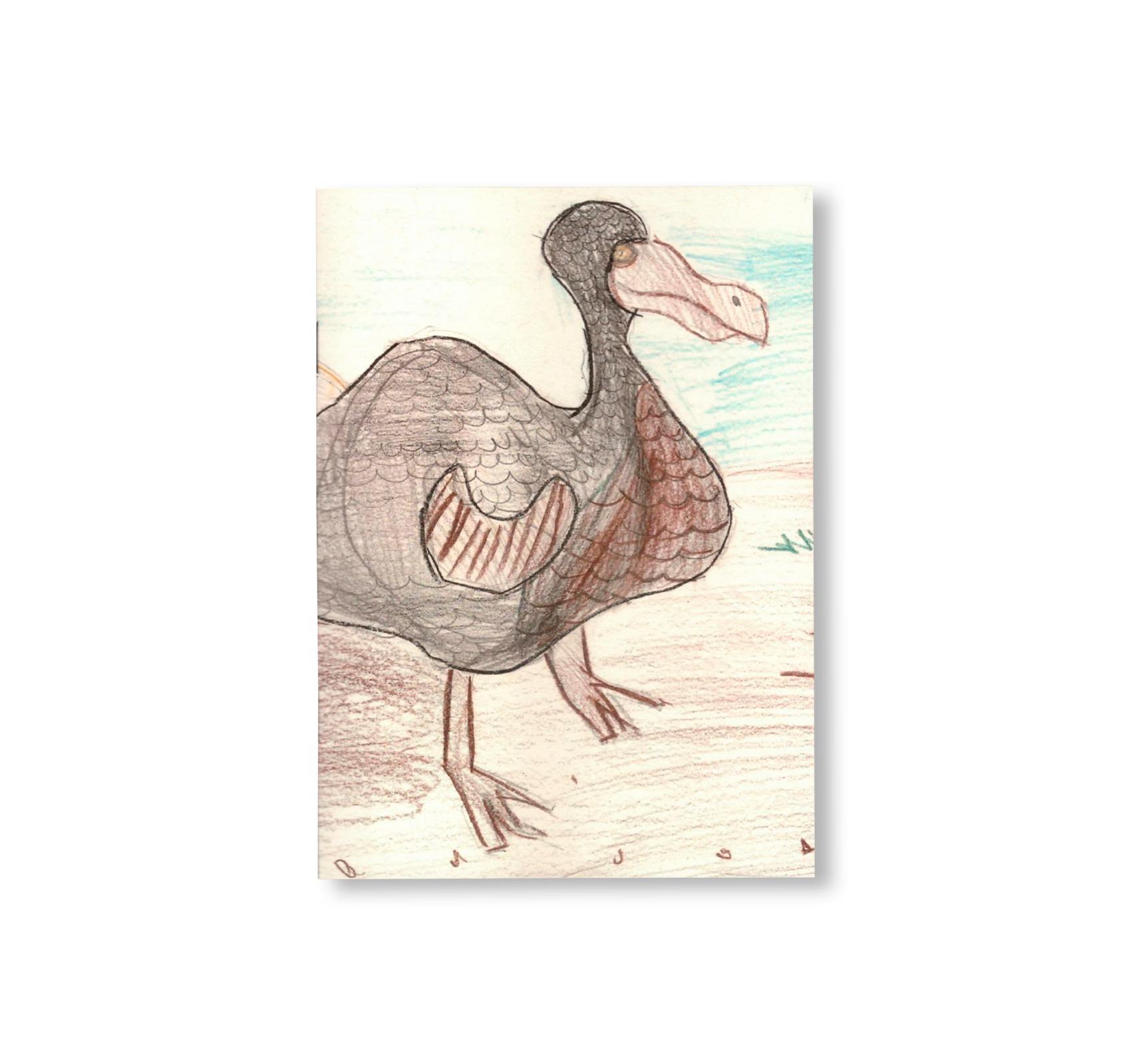DODO NOTEBOOKS