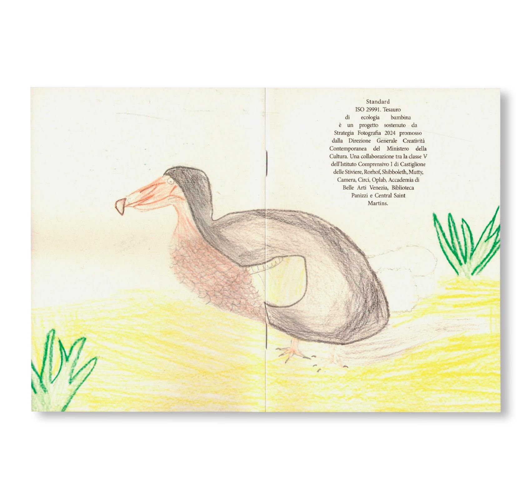DODO NOTEBOOKS