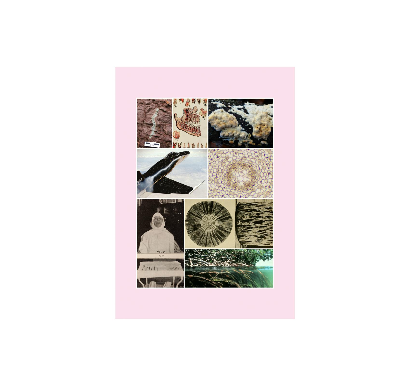 THESAURUS OF CHILD ECOLOGY