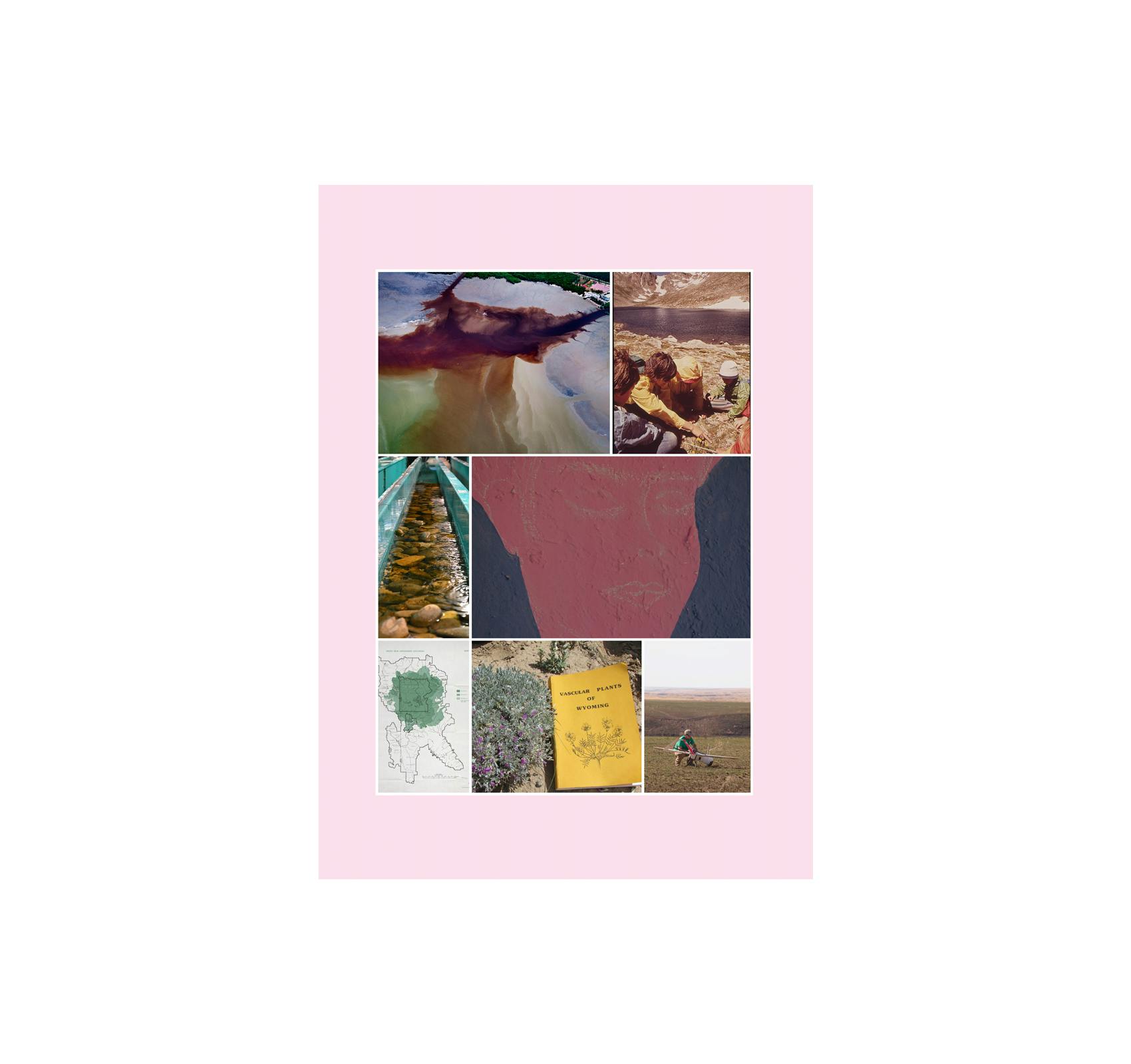 THESAURUS OF CHILD ECOLOGY