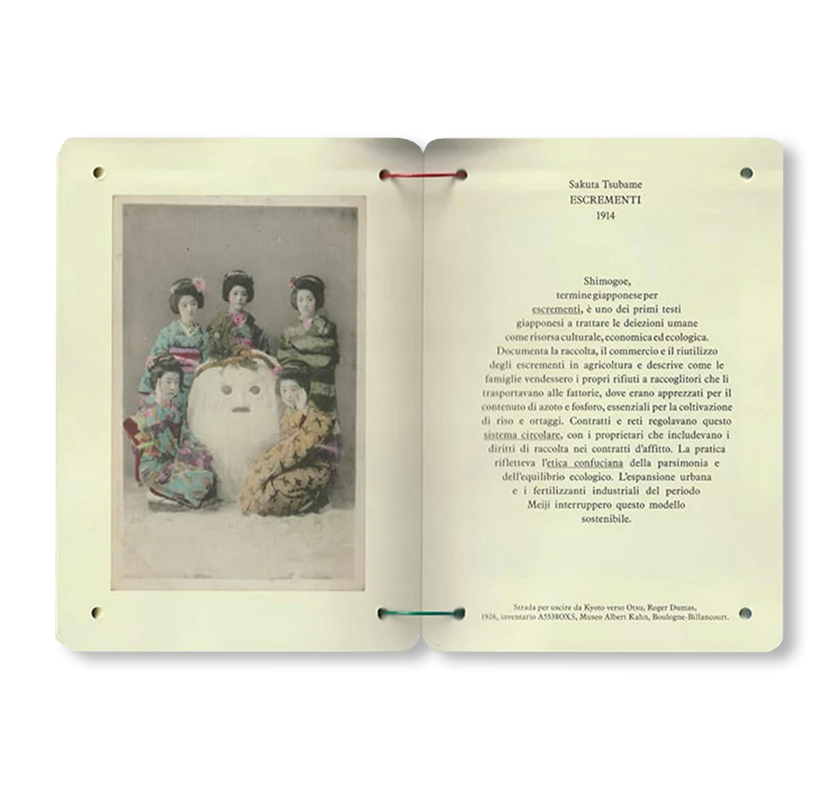 THESAURUS OF CHILD ECOLOGY