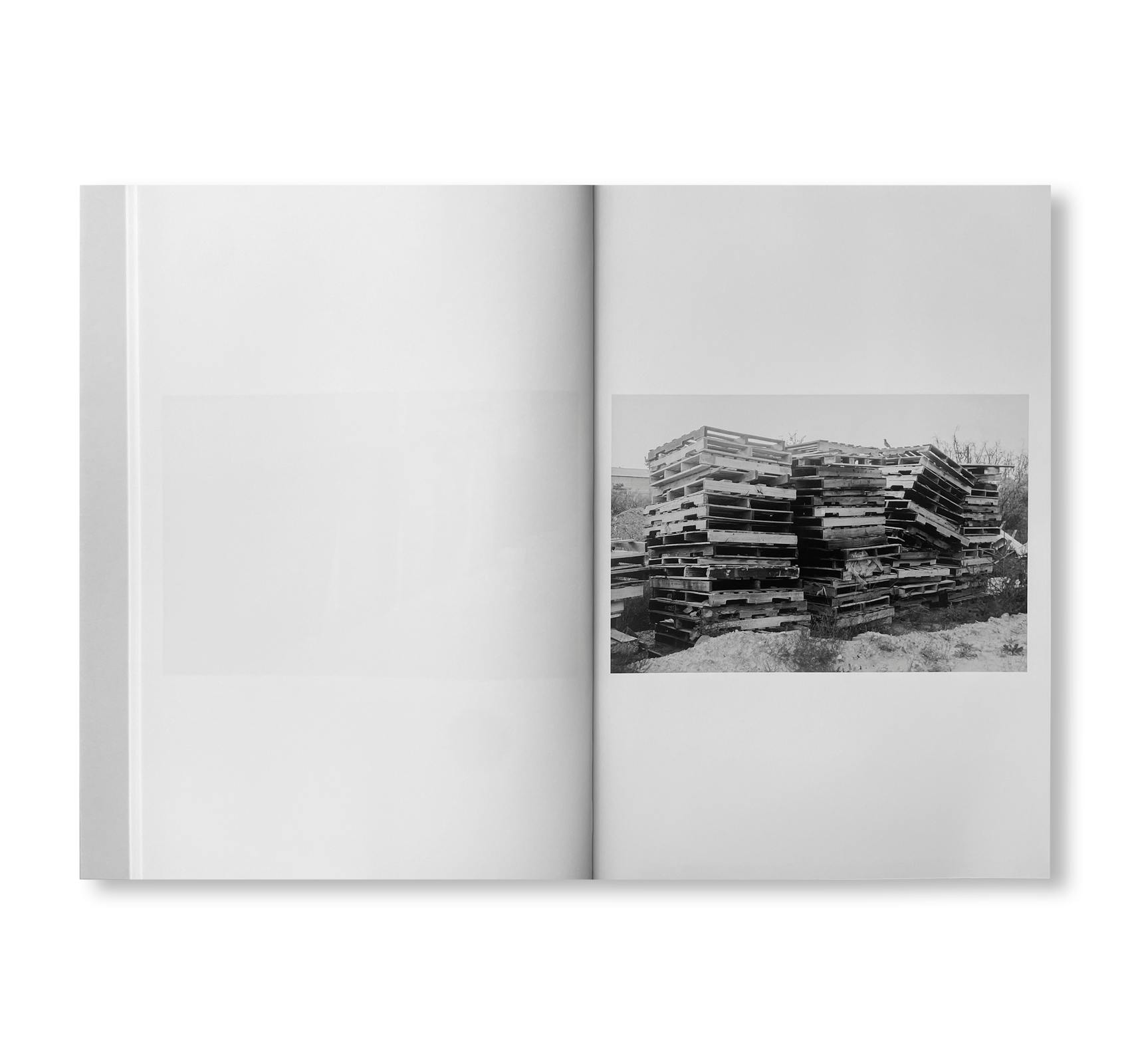 WESTTEXASPSYCHOSCULPTURE [SIGNED]