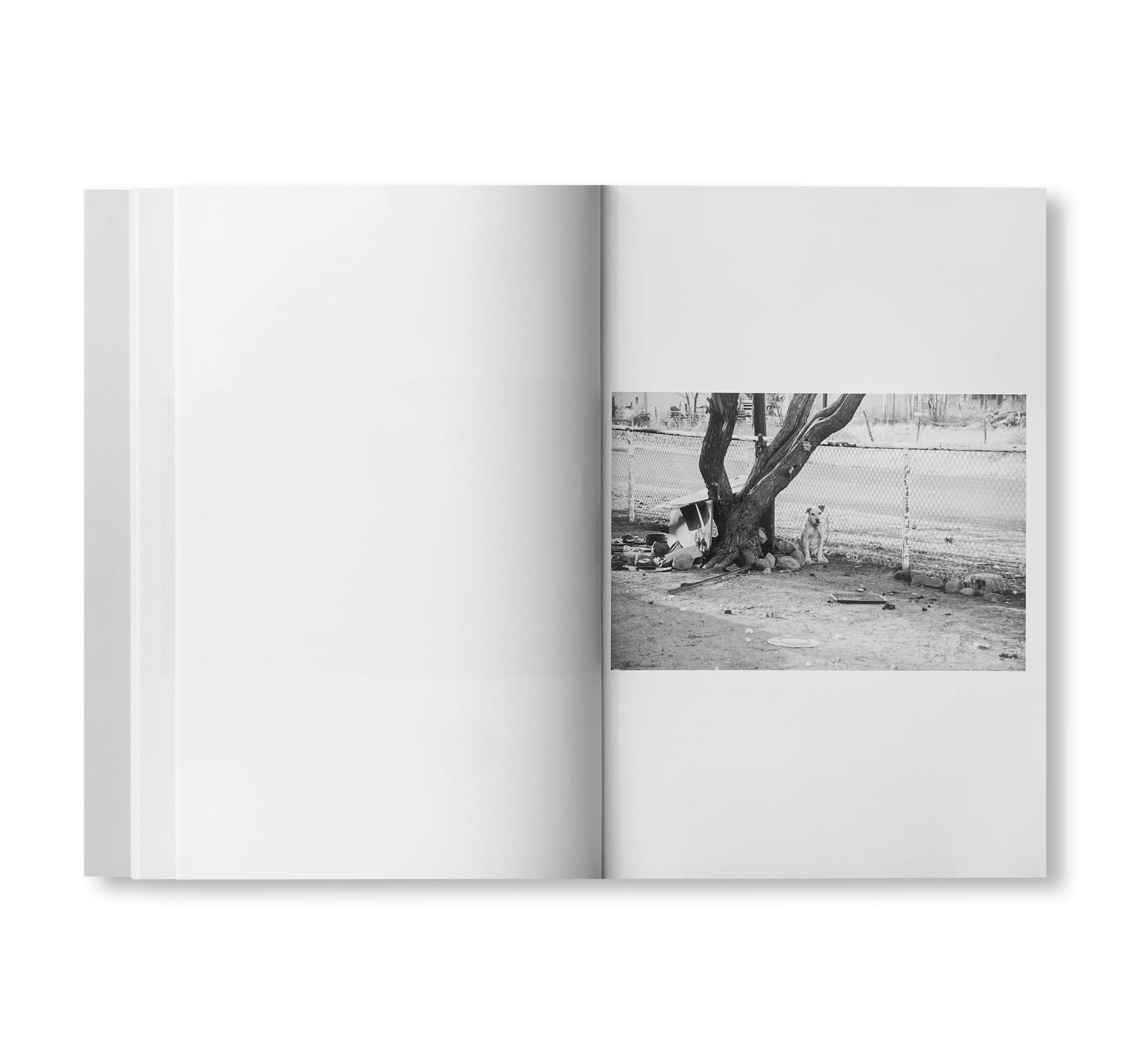 WESTTEXASPSYCHOSCULPTURE [SIGNED]