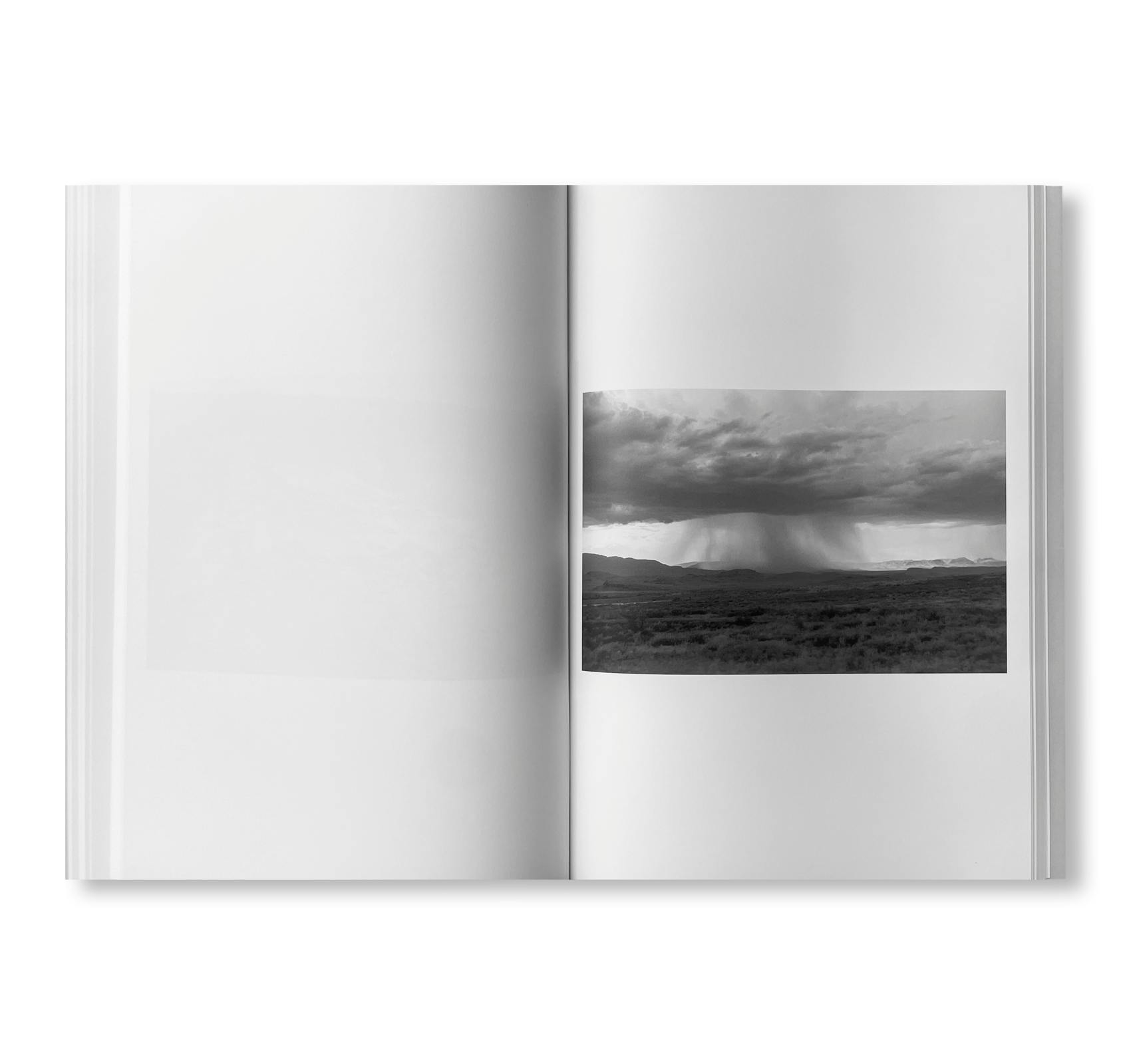 WESTTEXASPSYCHOSCULPTURE [SIGNED]