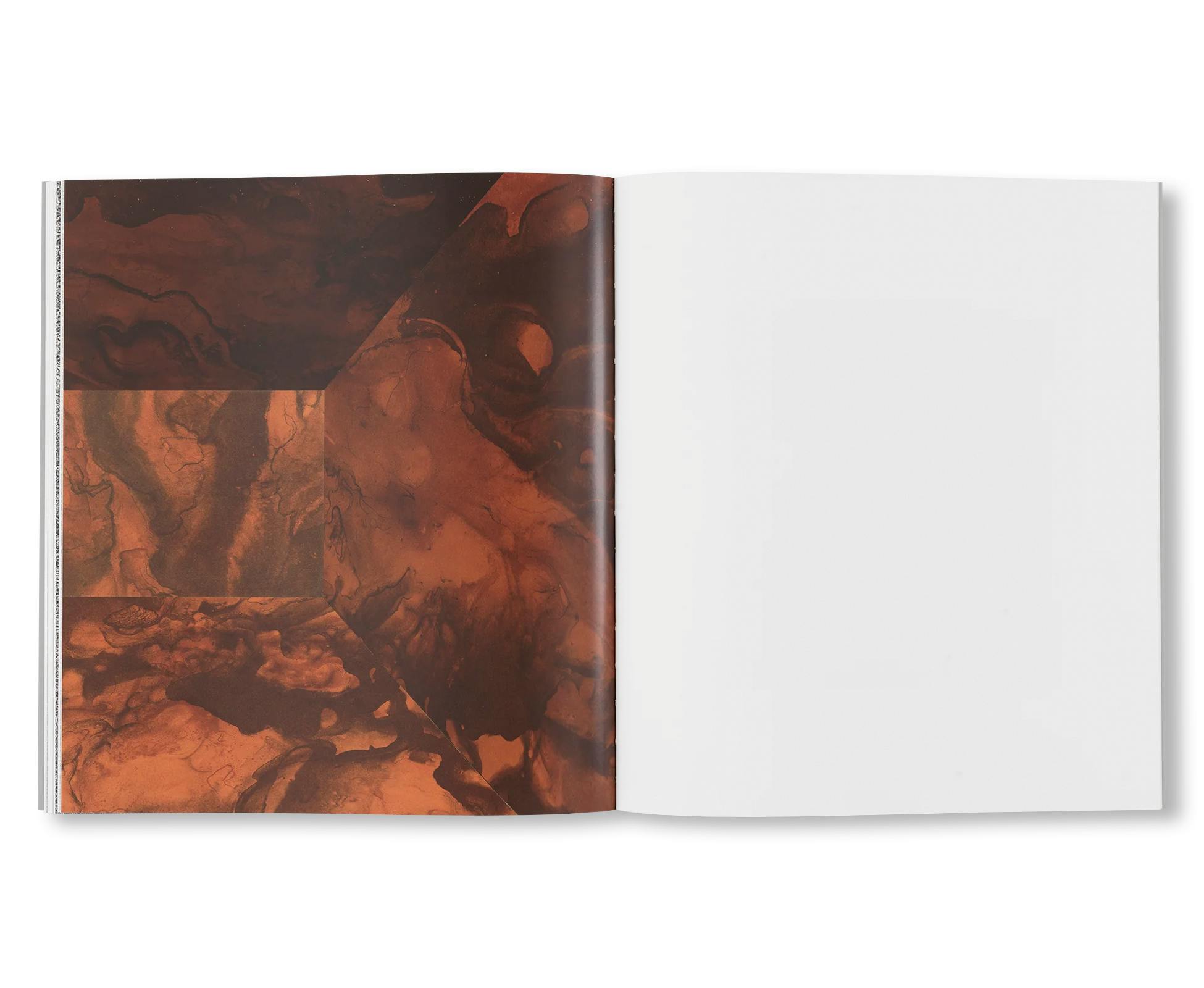 RICHARD ARTSCHWAGER (2021)