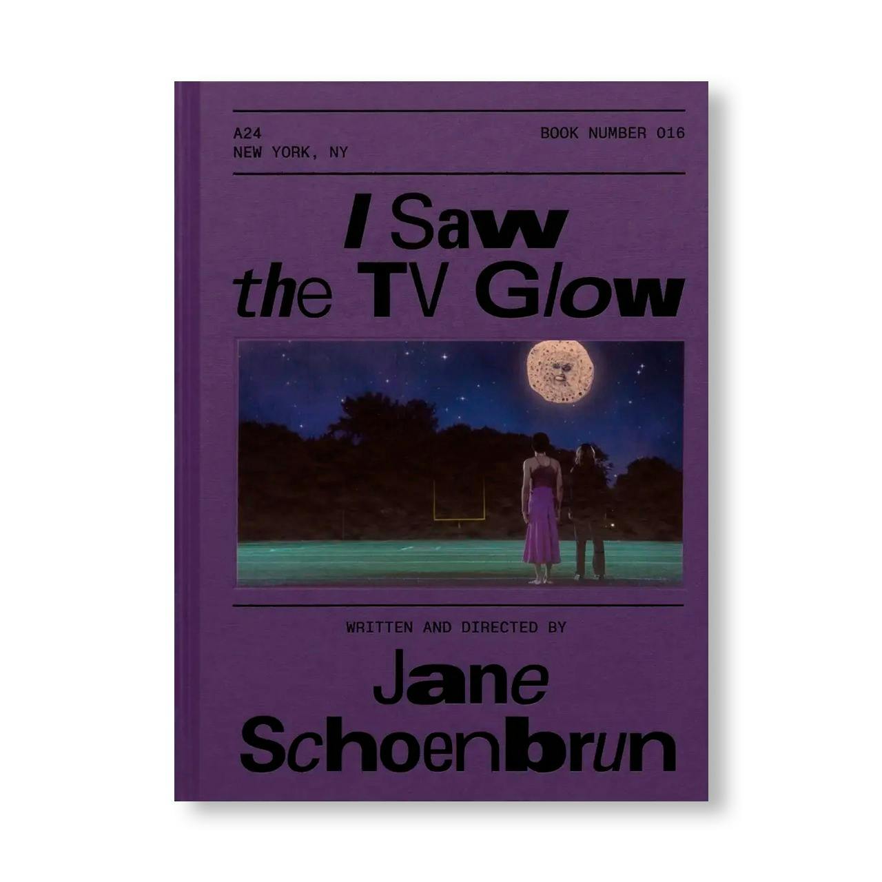 I SAW THE TV GLOW SCREENPLAY BOOK