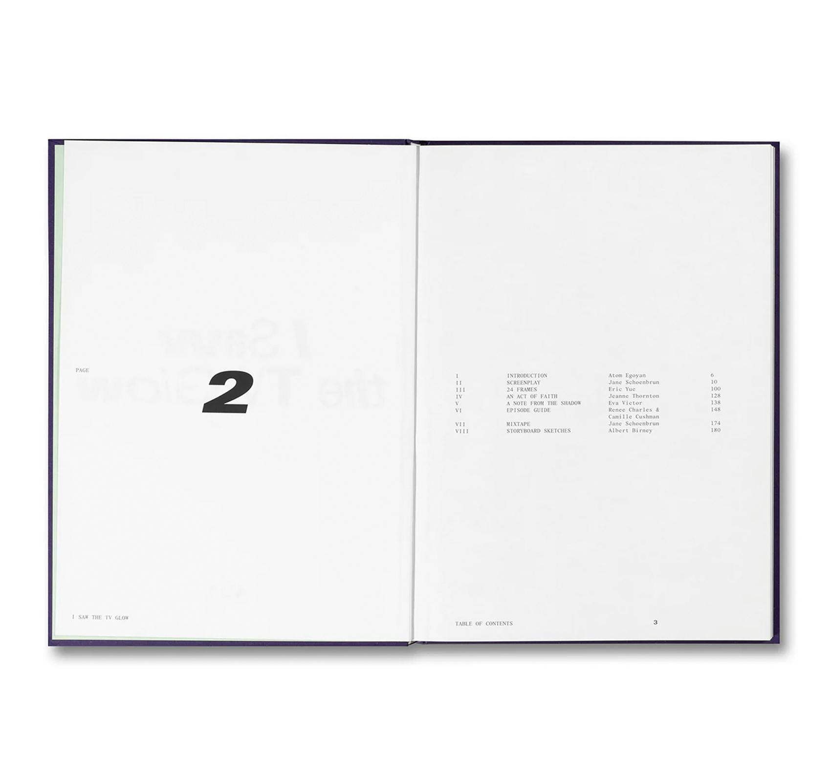 I SAW THE TV GLOW SCREENPLAY BOOK