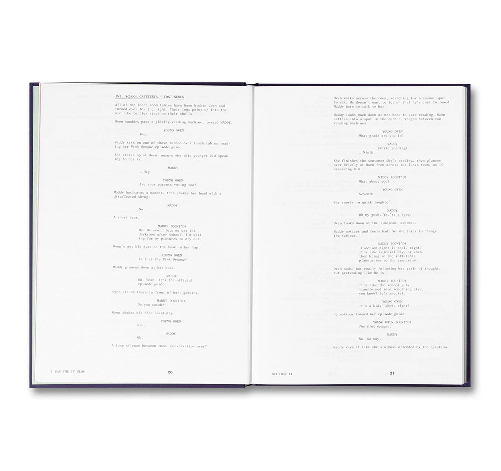 I SAW THE TV GLOW SCREENPLAY BOOK