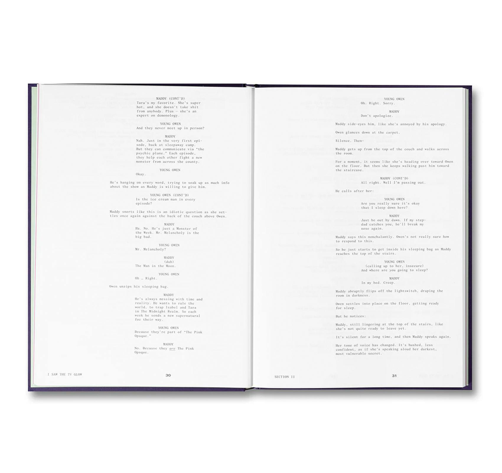 I SAW THE TV GLOW SCREENPLAY BOOK