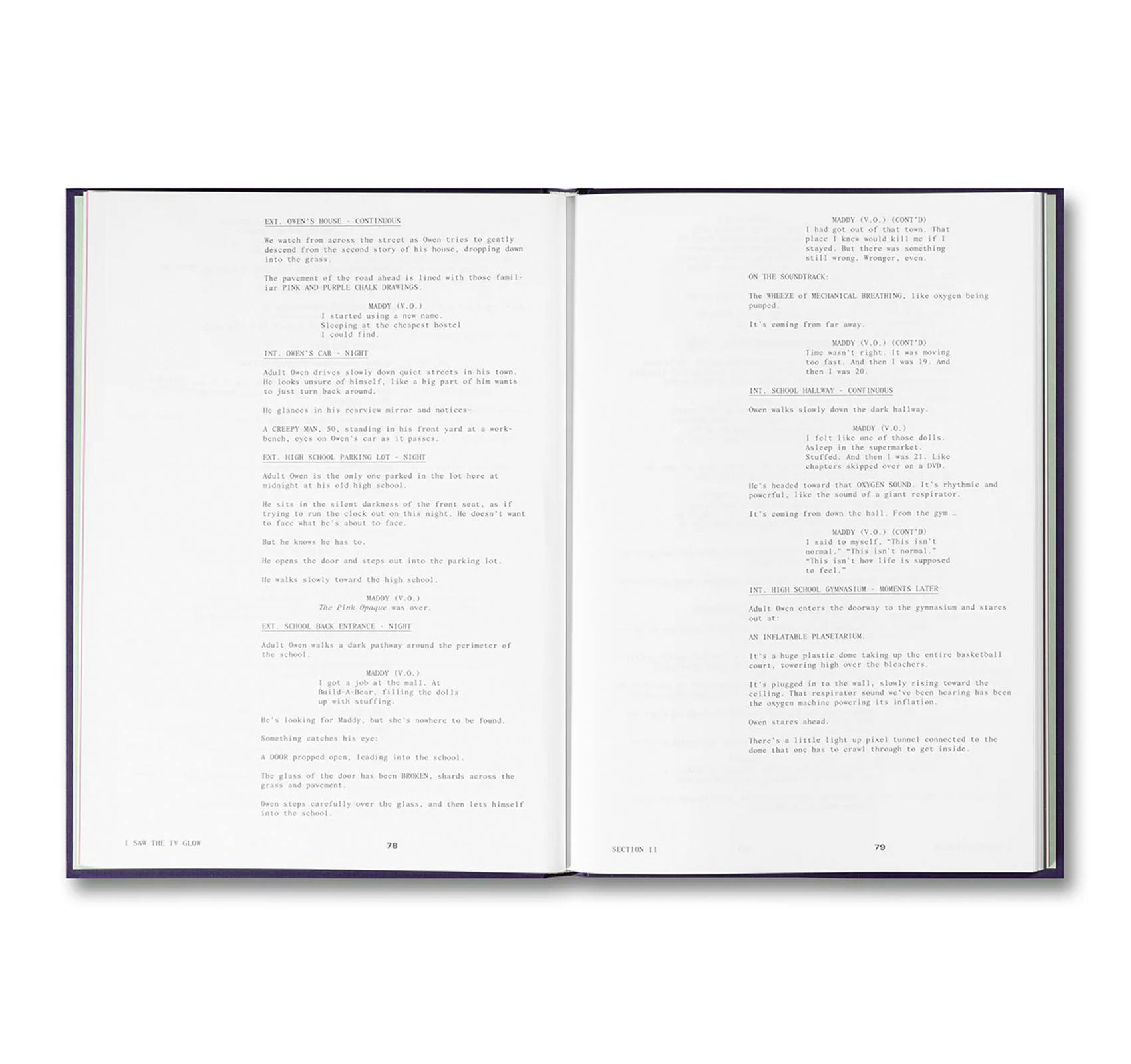 I SAW THE TV GLOW SCREENPLAY BOOK