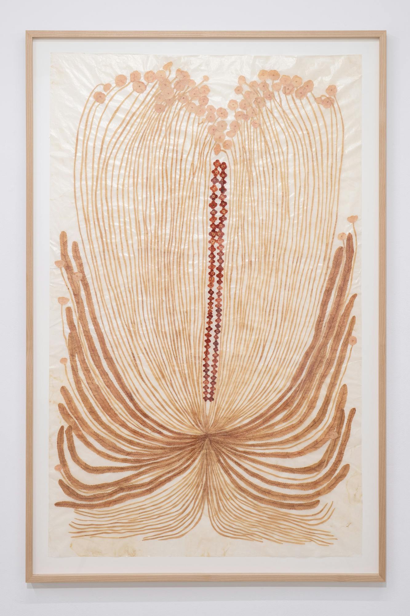 花ひとつ（ももいろの花、赤い花）