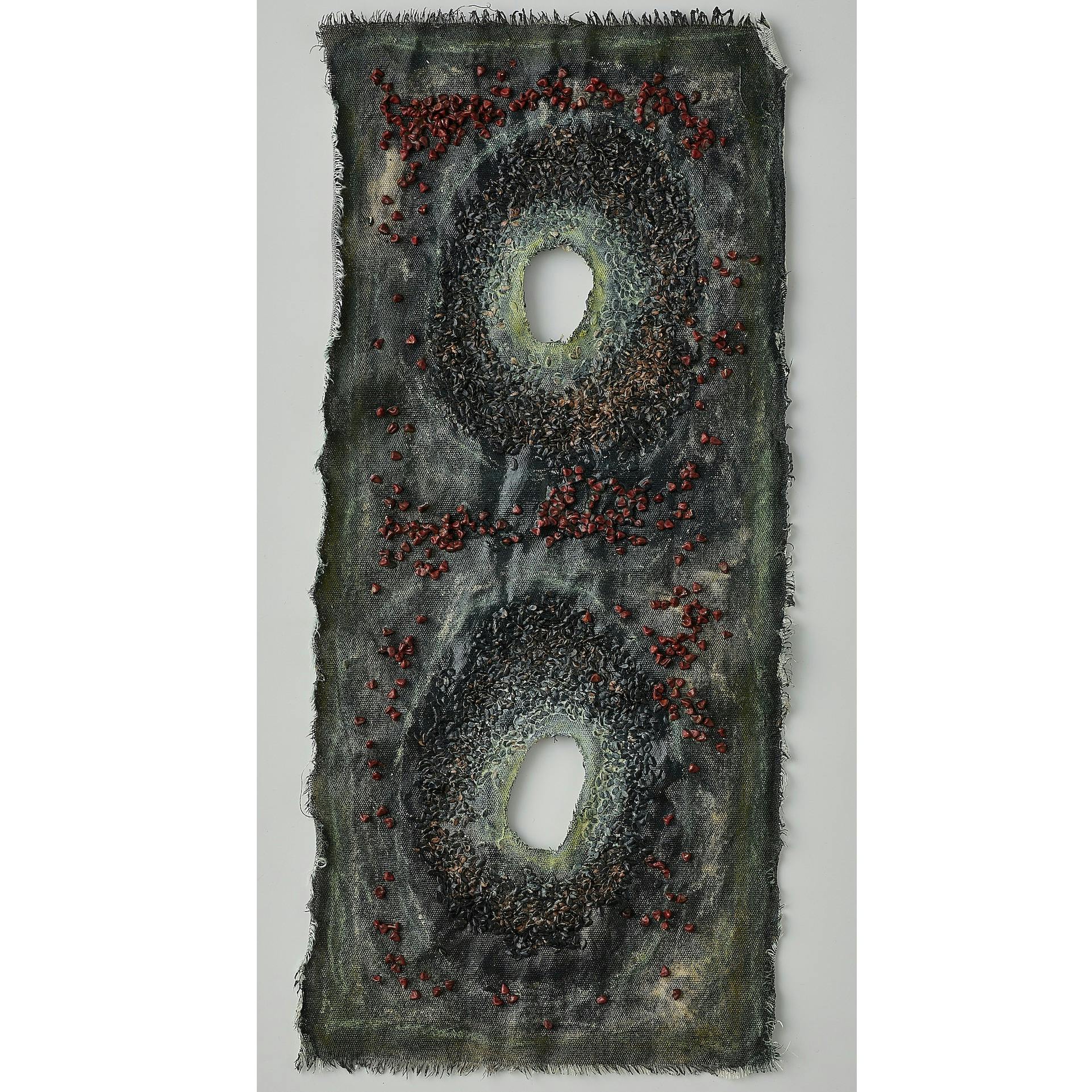 Célula #3 (細胞 #3)