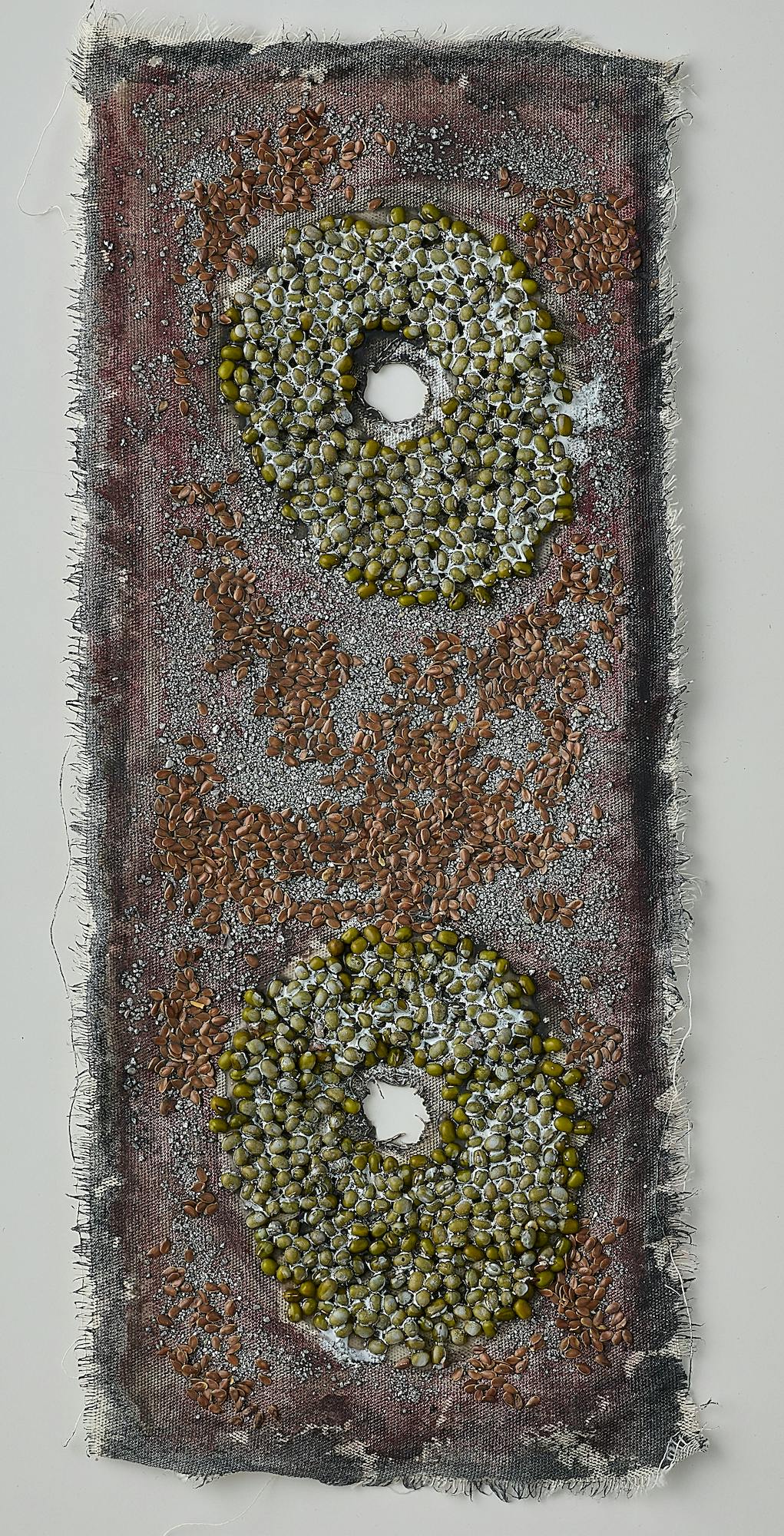 Célula #1 (細胞 #1)