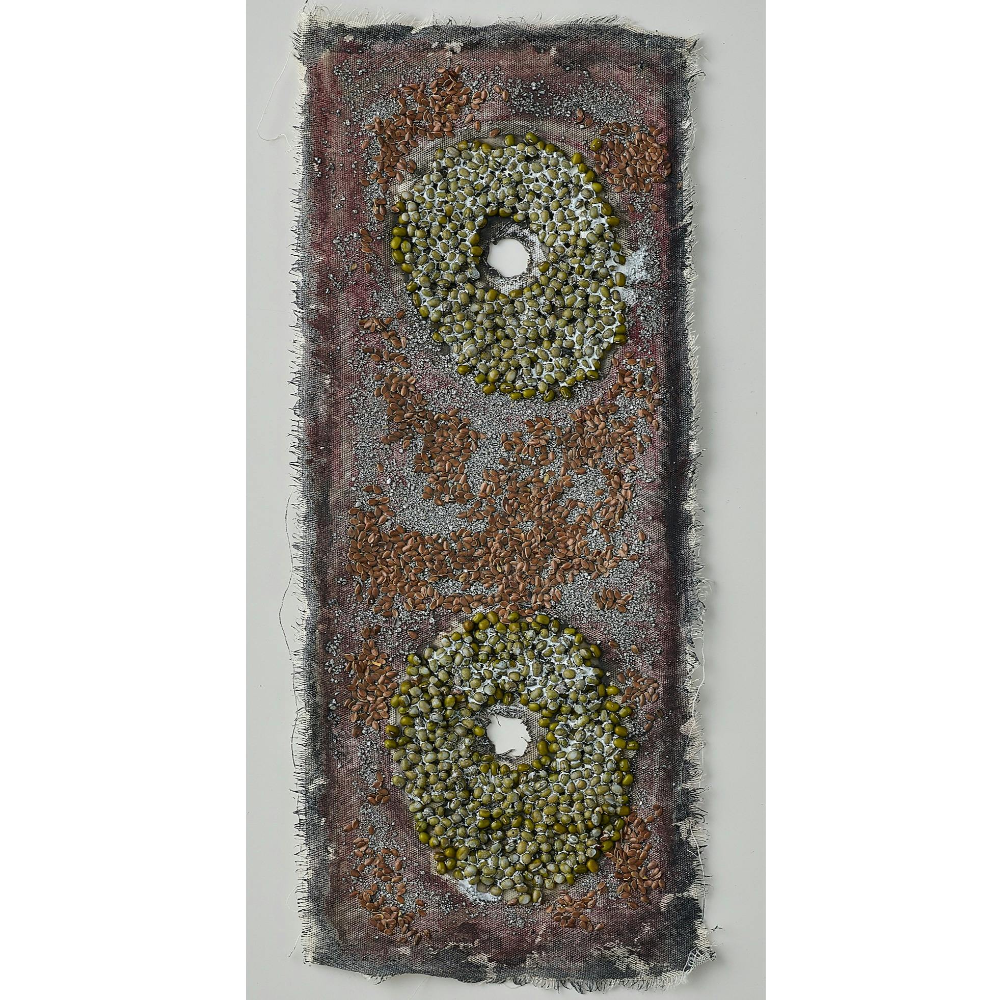 Célula #1 (細胞 #1)