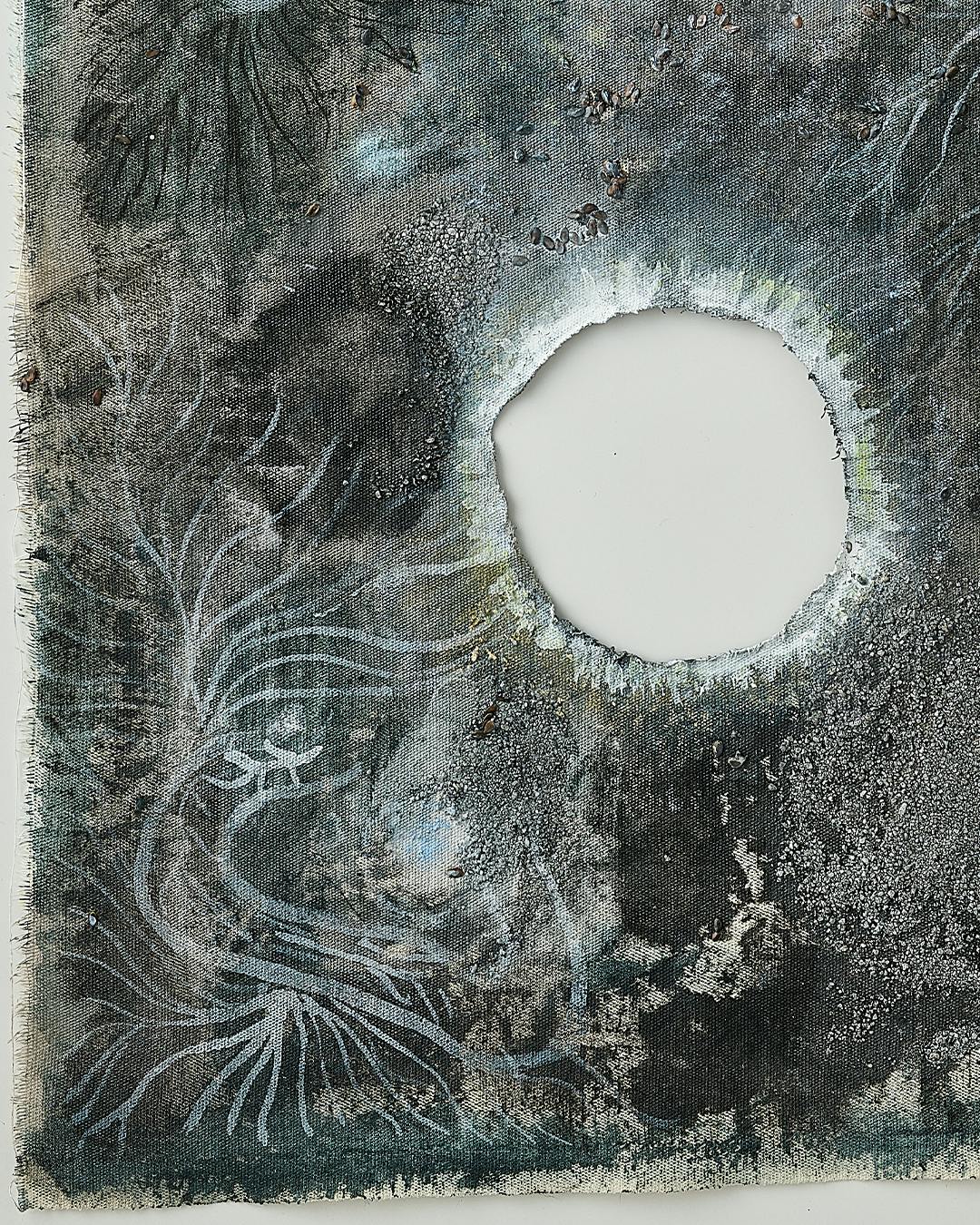 El bosque de micelio (菌糸の森)