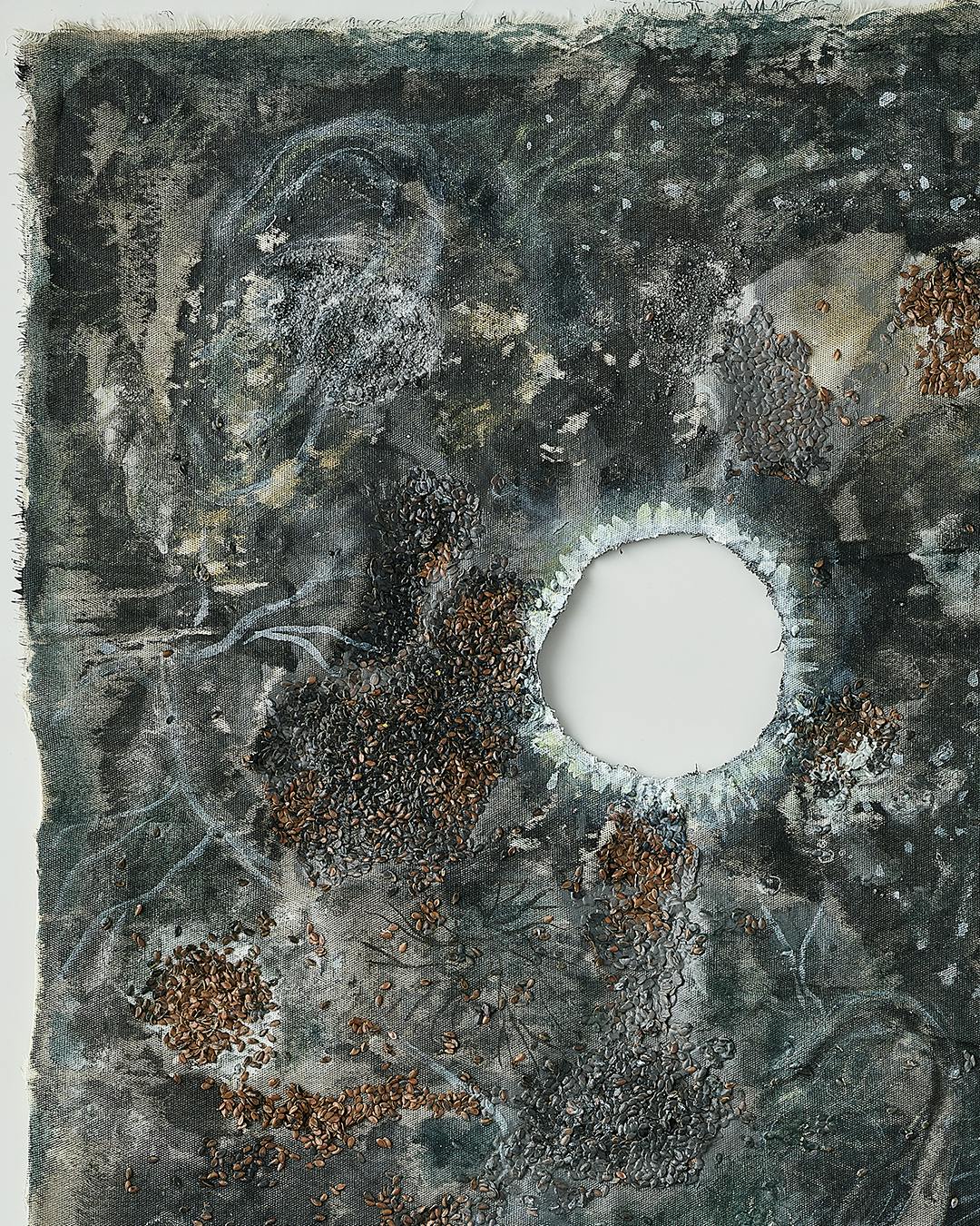 El bosque de micelio (菌糸の森)