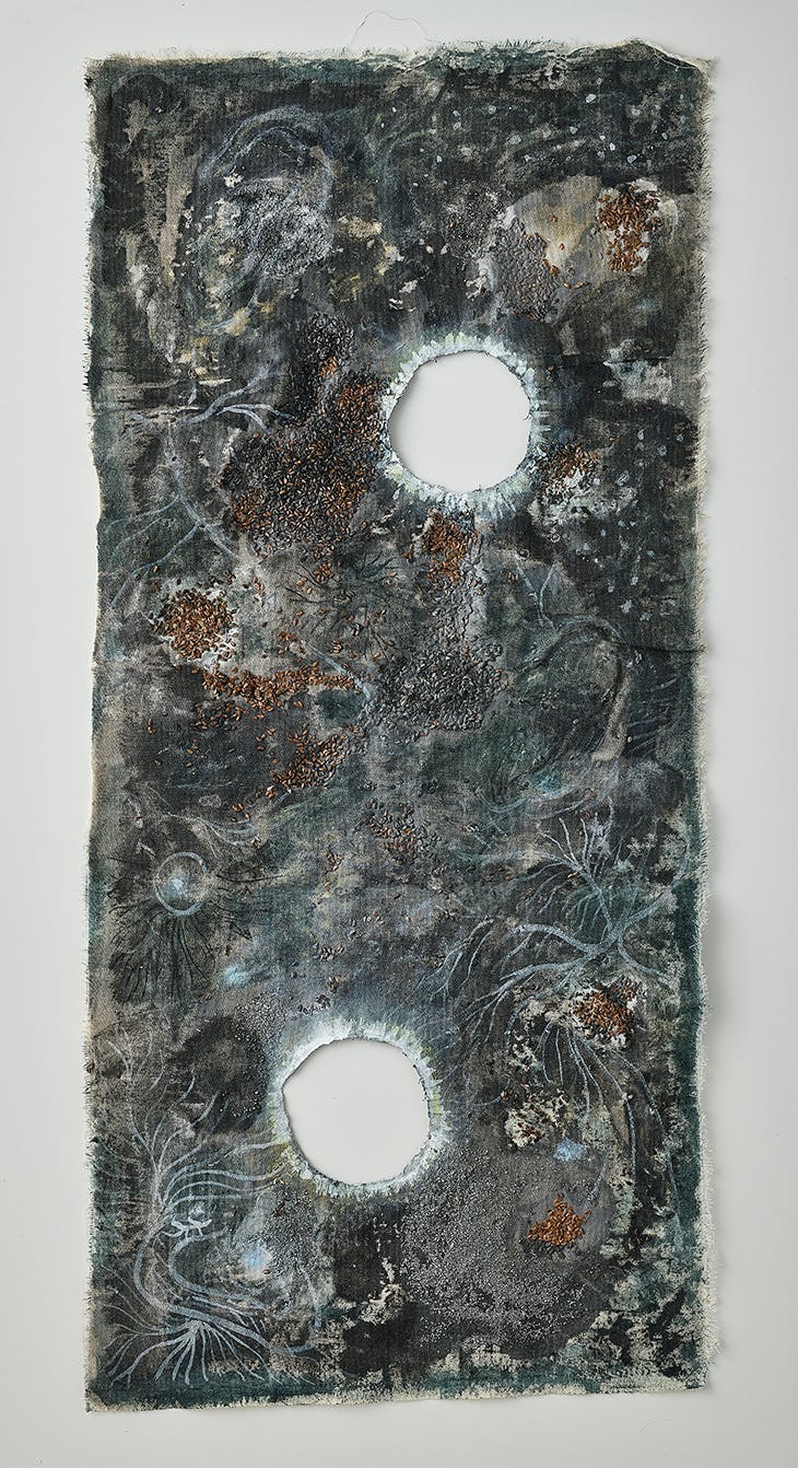 El bosque de micelio (菌糸の森)