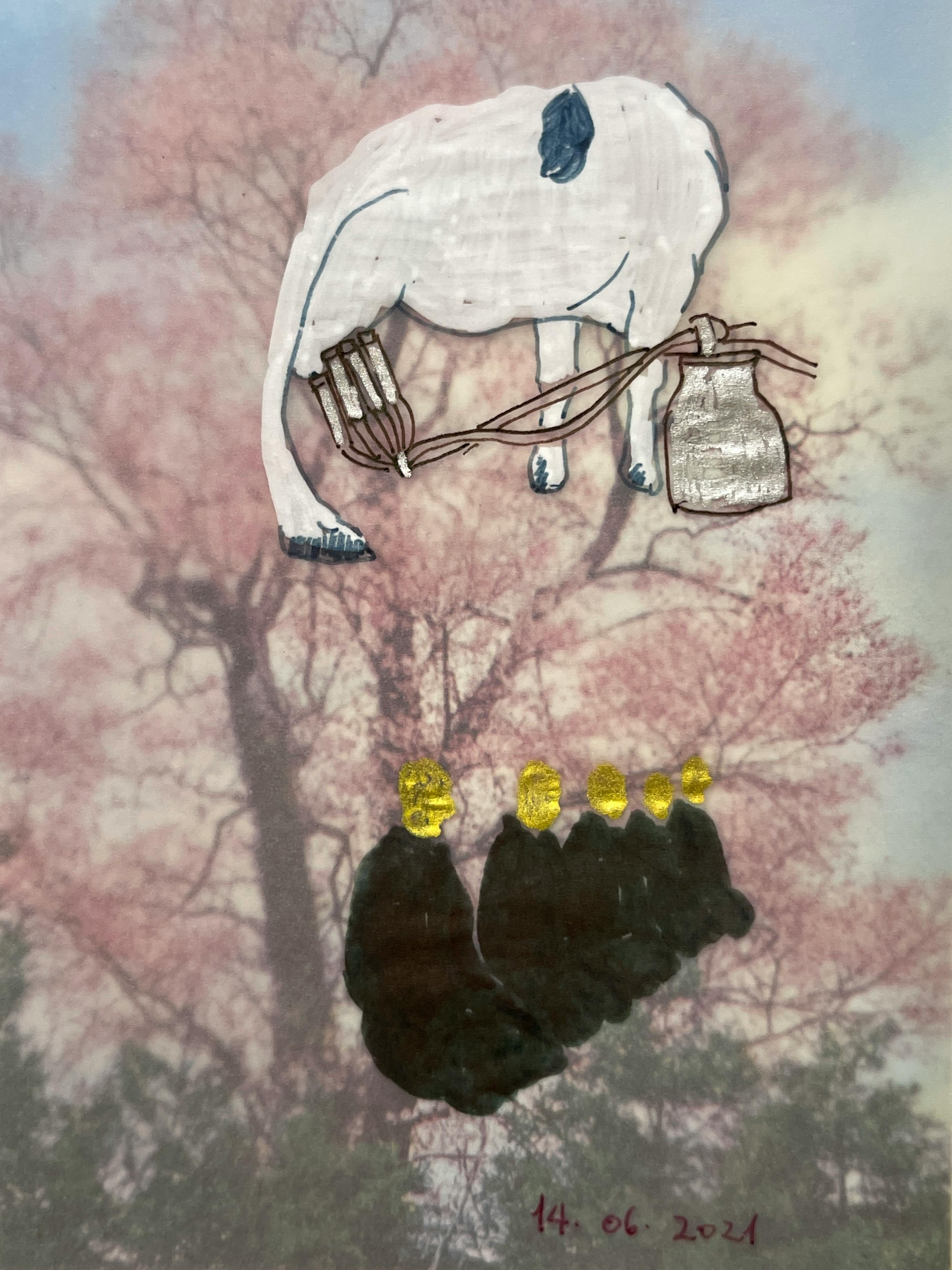 365 日の百科事典　2021年6月14日　搾乳、桜、座禅