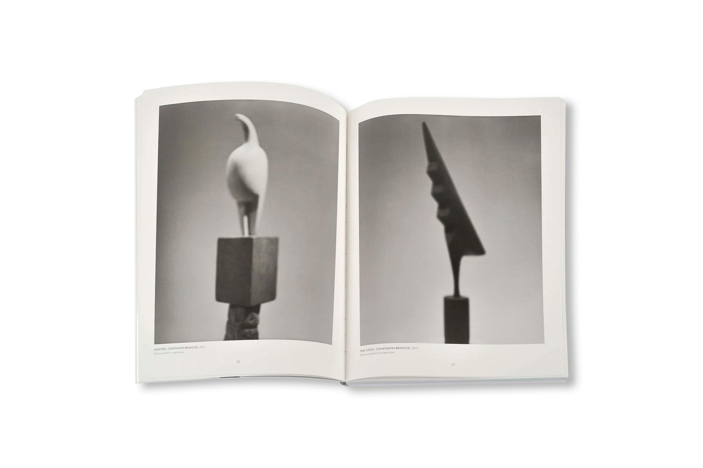 REVUE CAHIERS D’ART, 2014, HIROSHI SUGIMOTO [STANDARD EDITION]