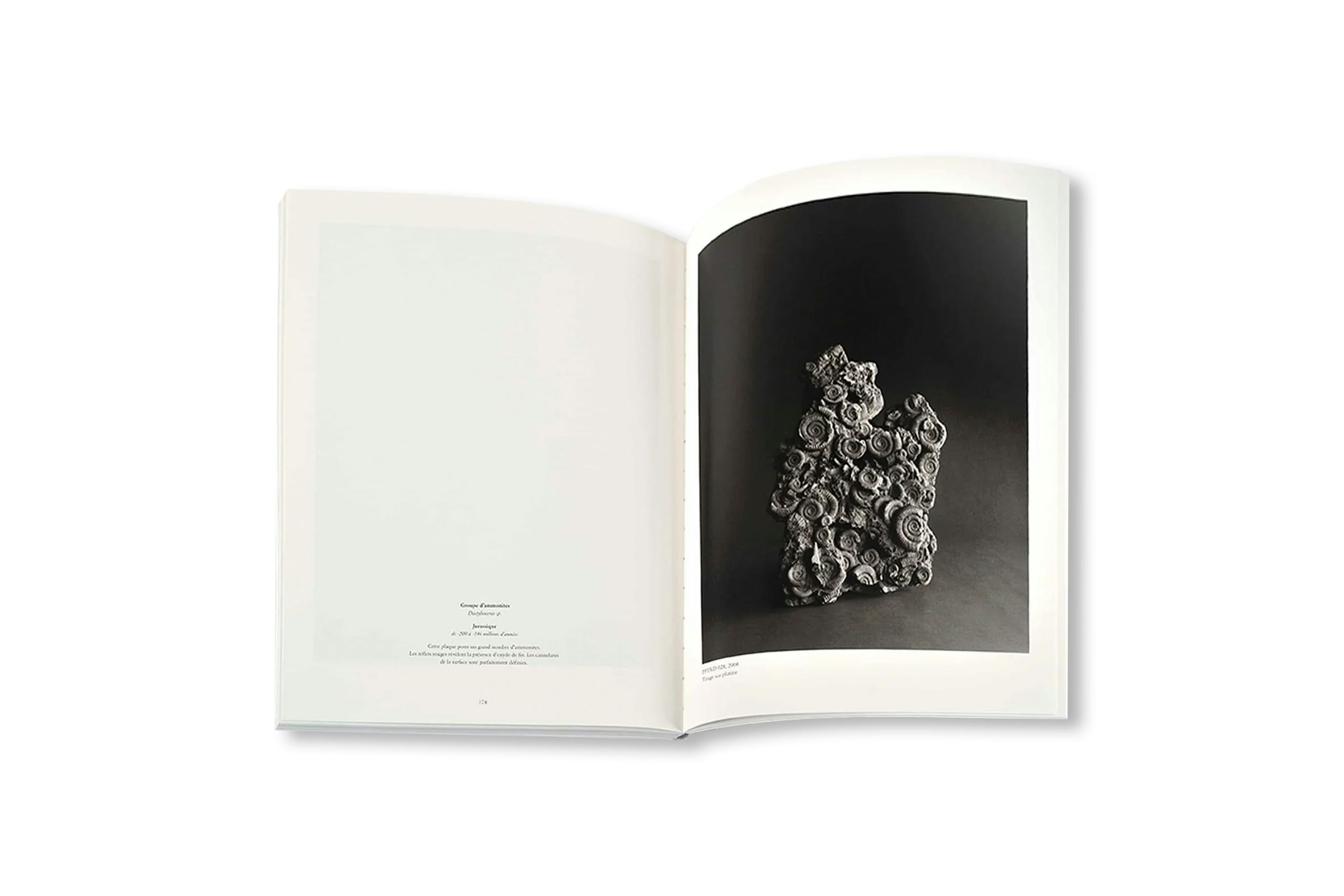 REVUE CAHIERS D’ART, 2014, HIROSHI SUGIMOTO [STANDARD EDITION]
