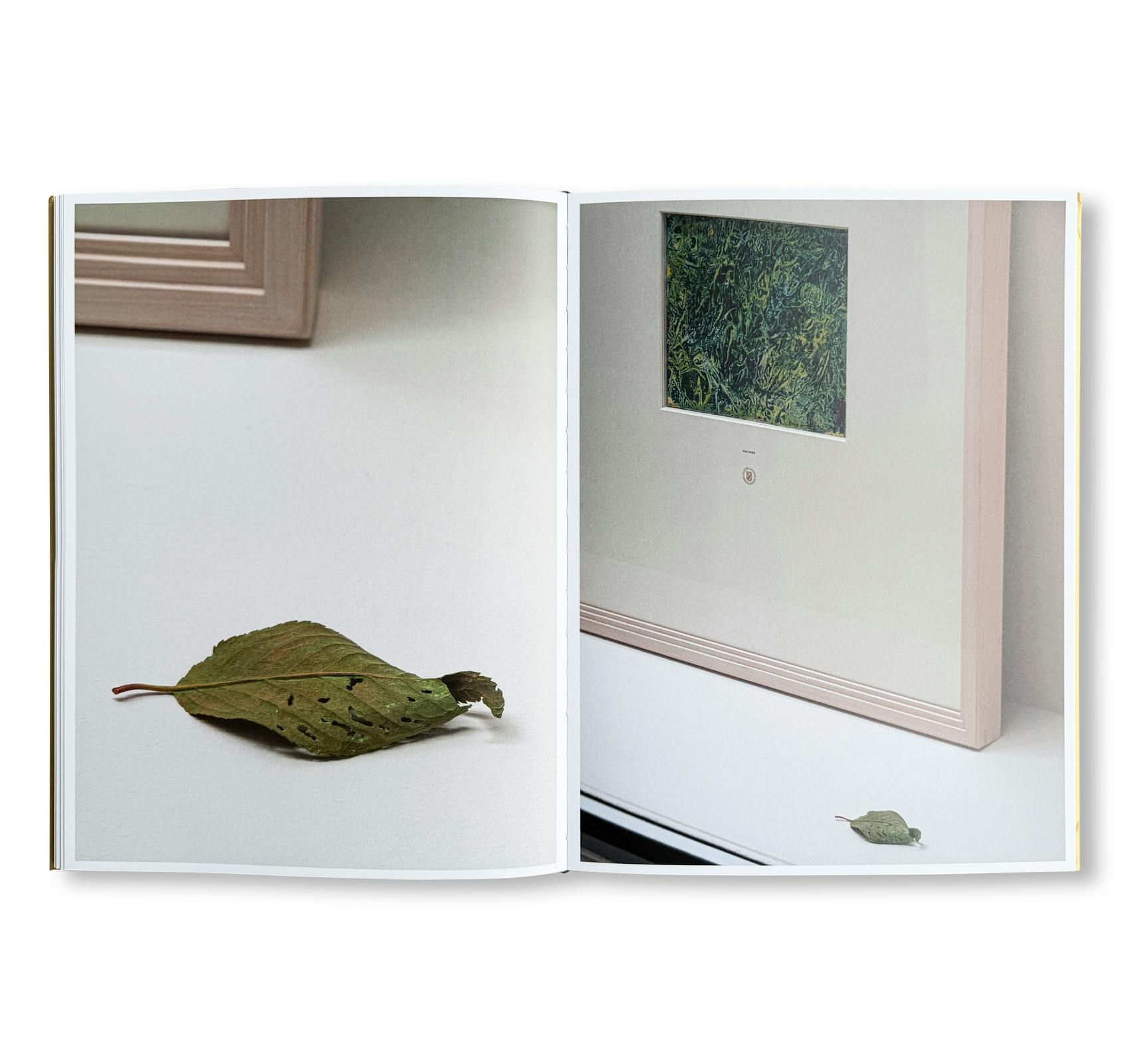 YOSHIHIRO SUDA: GARDEN EDEN