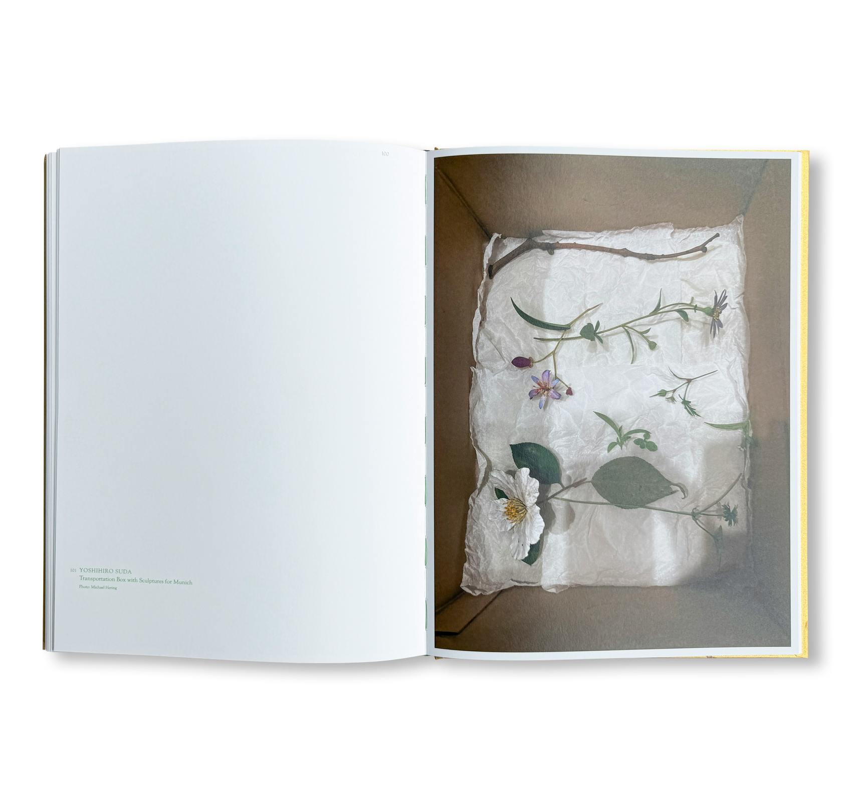 YOSHIHIRO SUDA: GARDEN EDEN