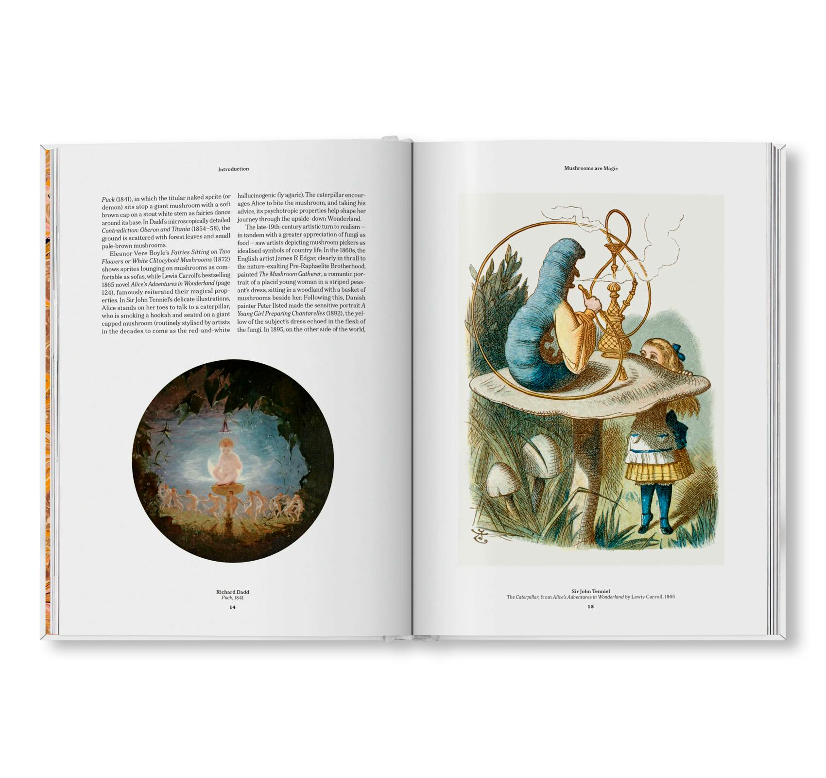 THE GOURMAND'S MUSHROOM. A COLLECTION OF STORIES AND RECIPES