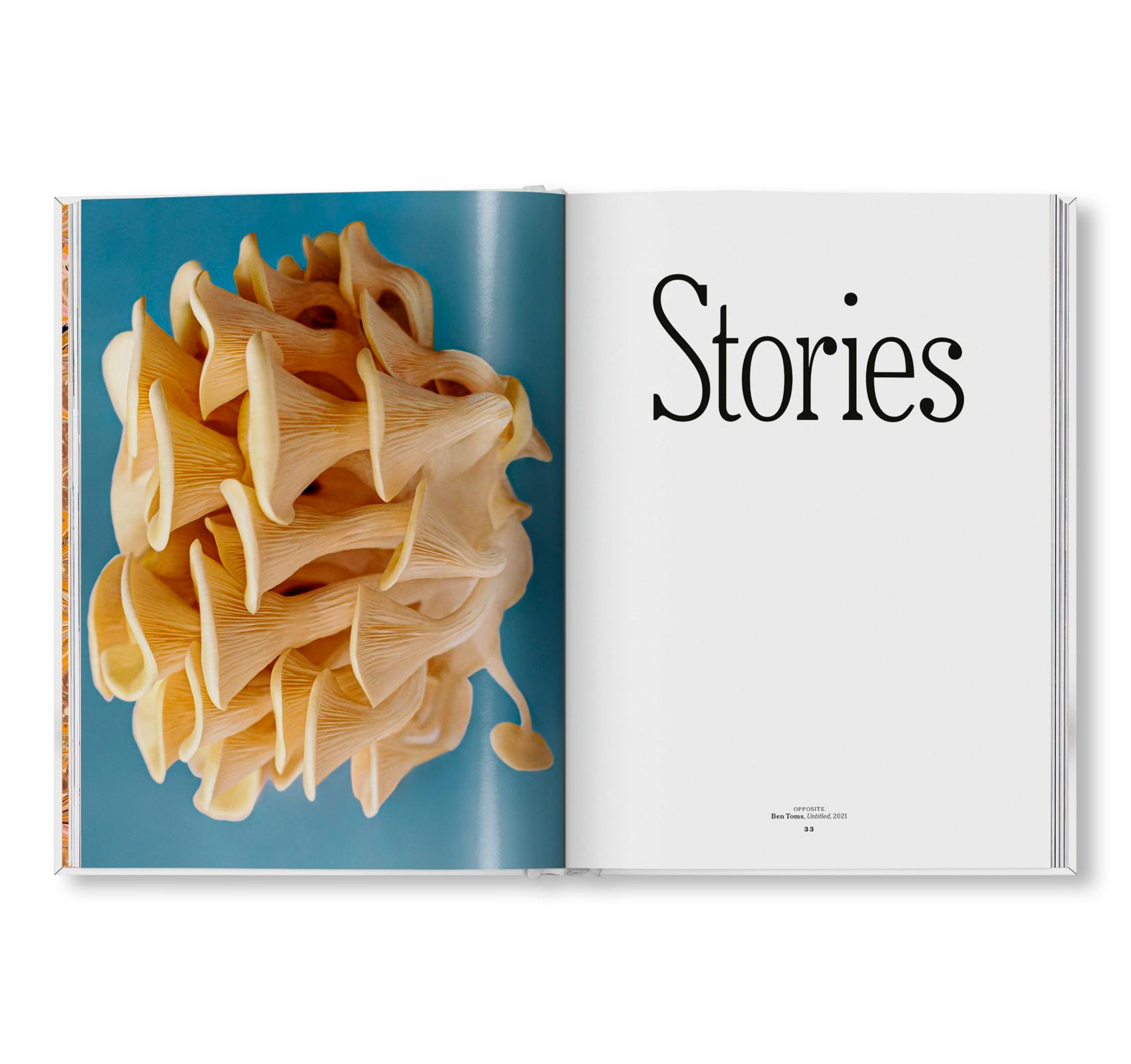 THE GOURMAND'S MUSHROOM. A COLLECTION OF STORIES AND RECIPES