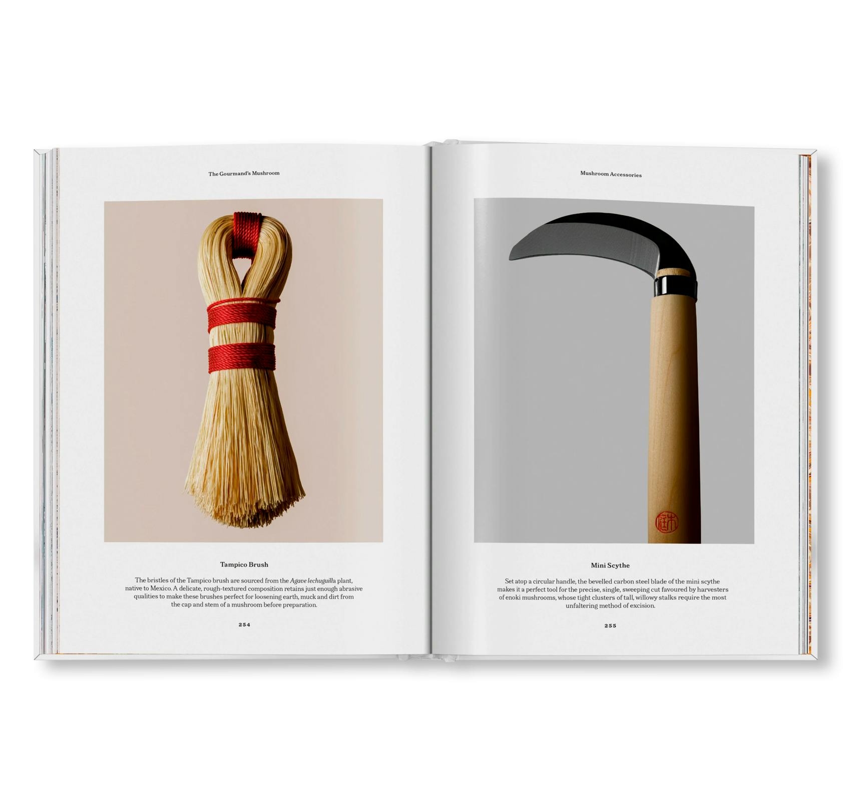 THE GOURMAND'S MUSHROOM. A COLLECTION OF STORIES AND RECIPES