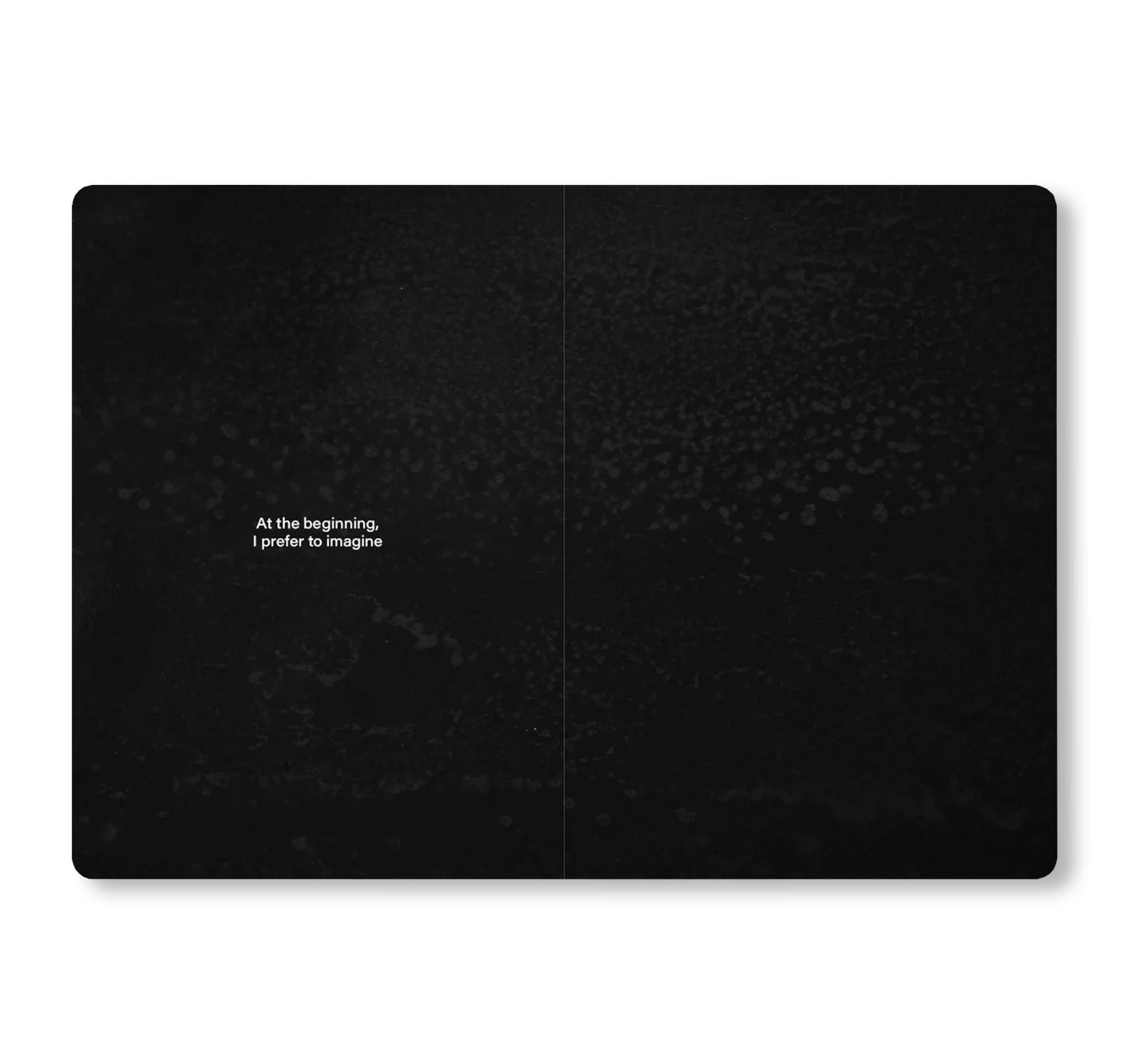 TACCUINO N.5 - LORENZO GUZZINI