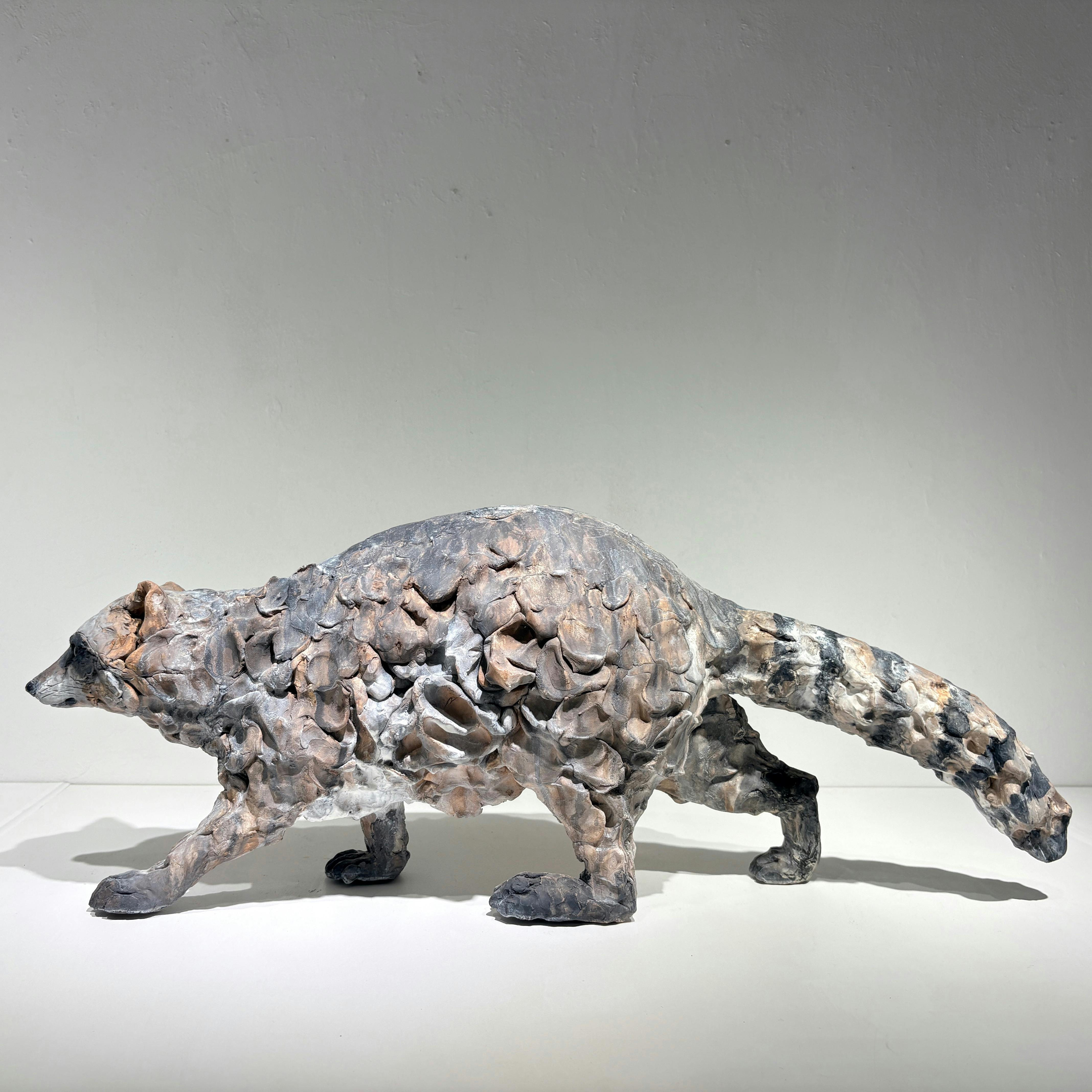 まなざしの彼方 - アライグマ -