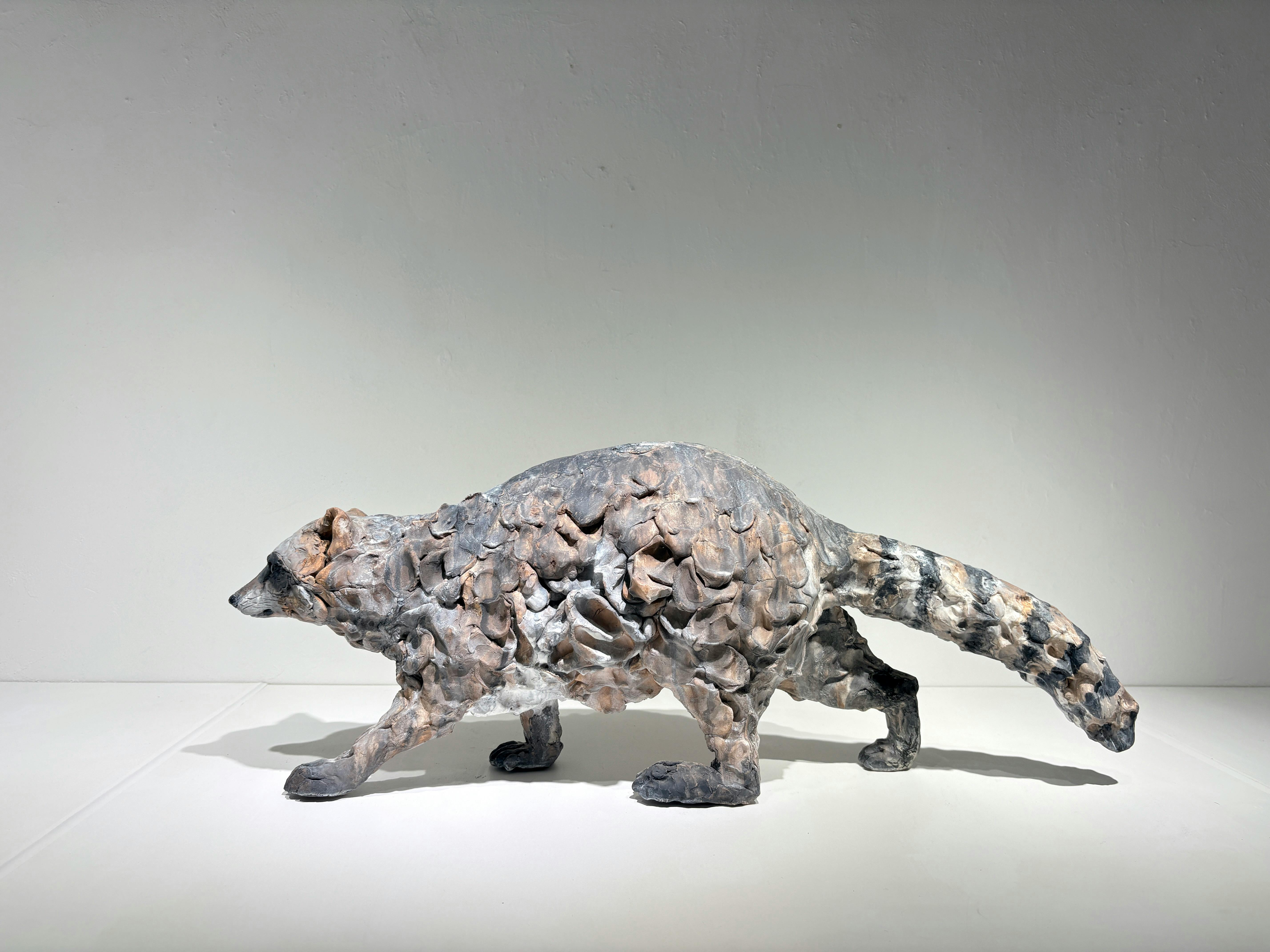 まなざしの彼方 - アライグマ -