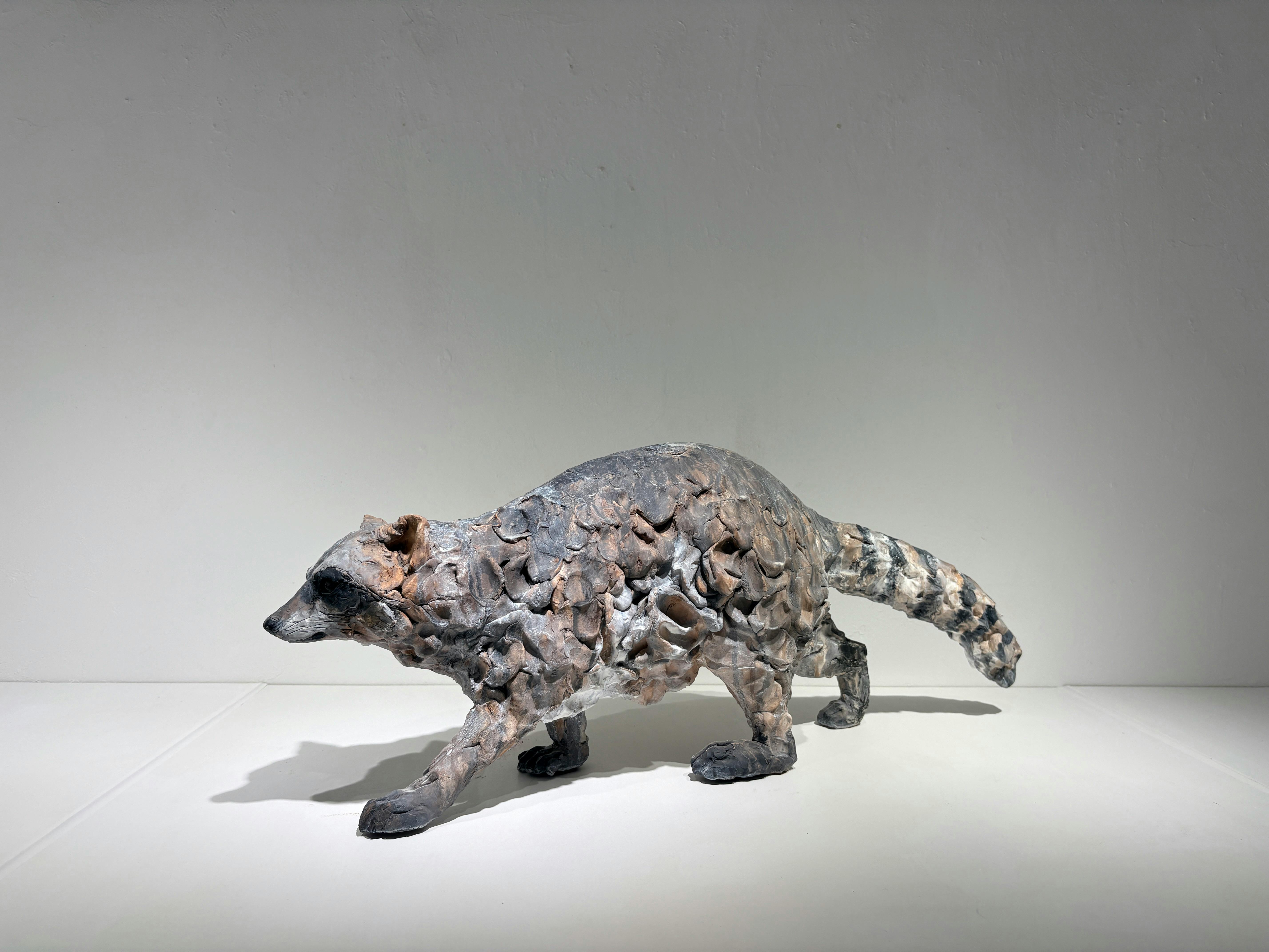 まなざしの彼方 - アライグマ -