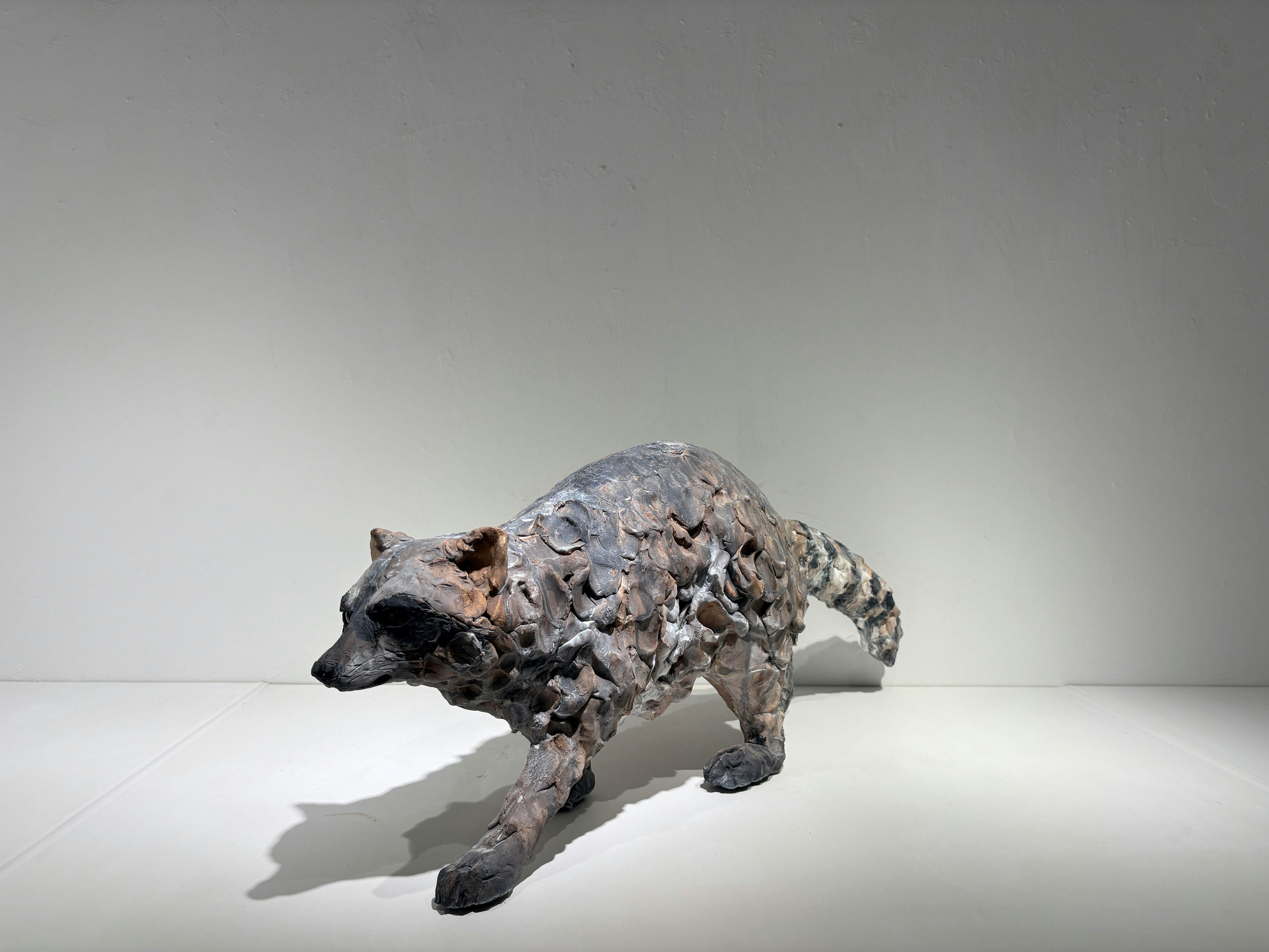 まなざしの彼方 - アライグマ -