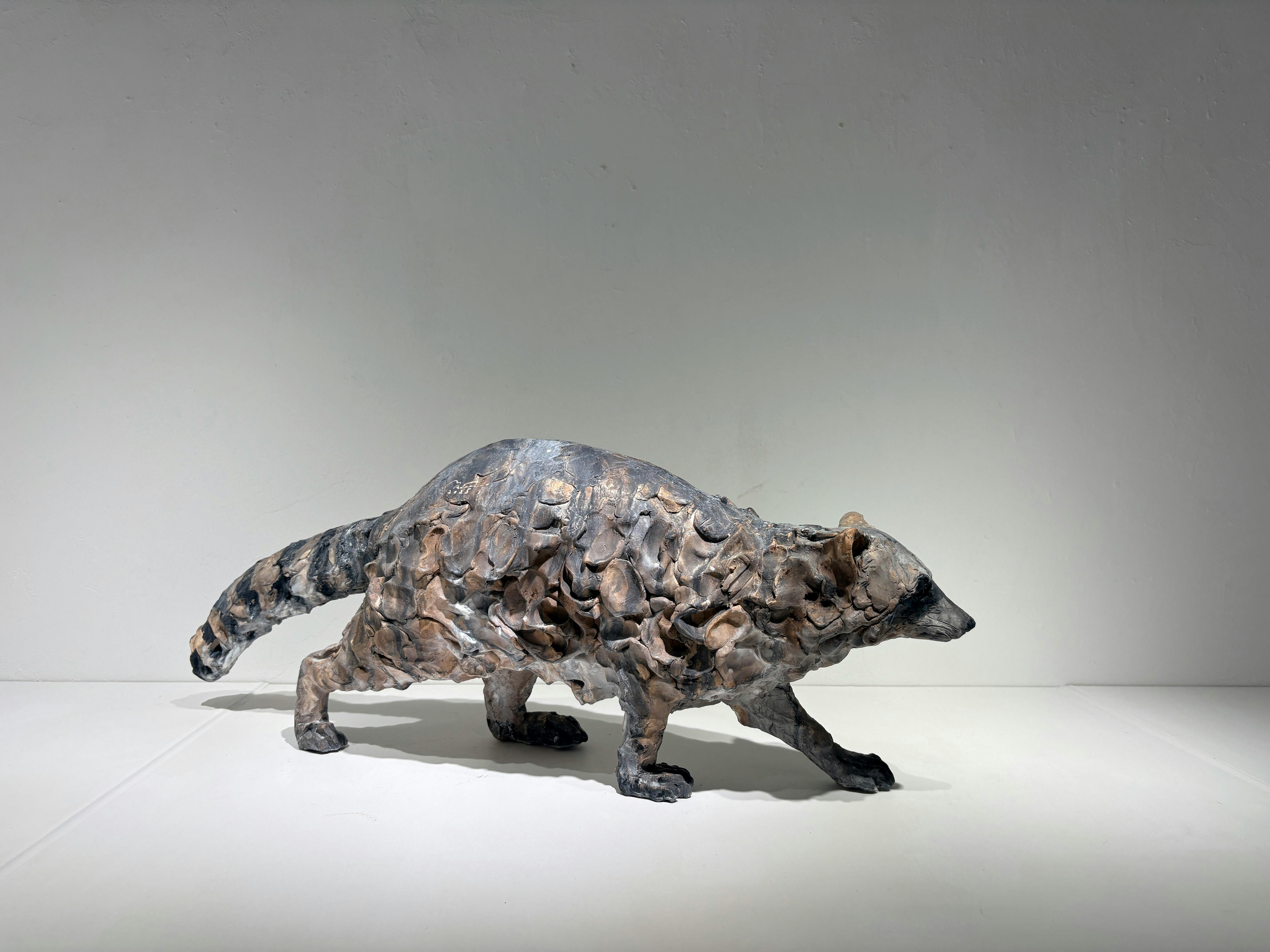 まなざしの彼方 - アライグマ -