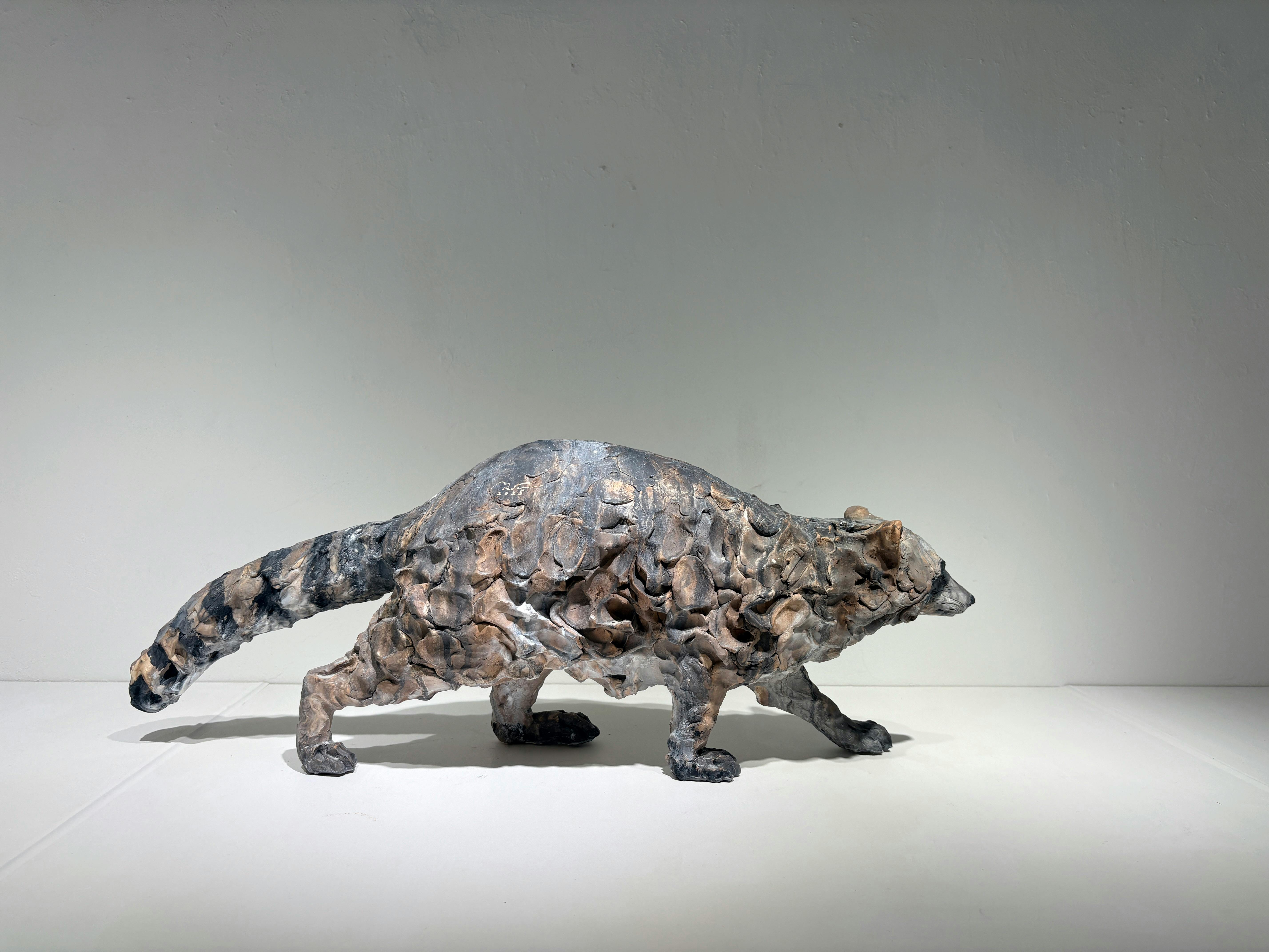 まなざしの彼方 - アライグマ -