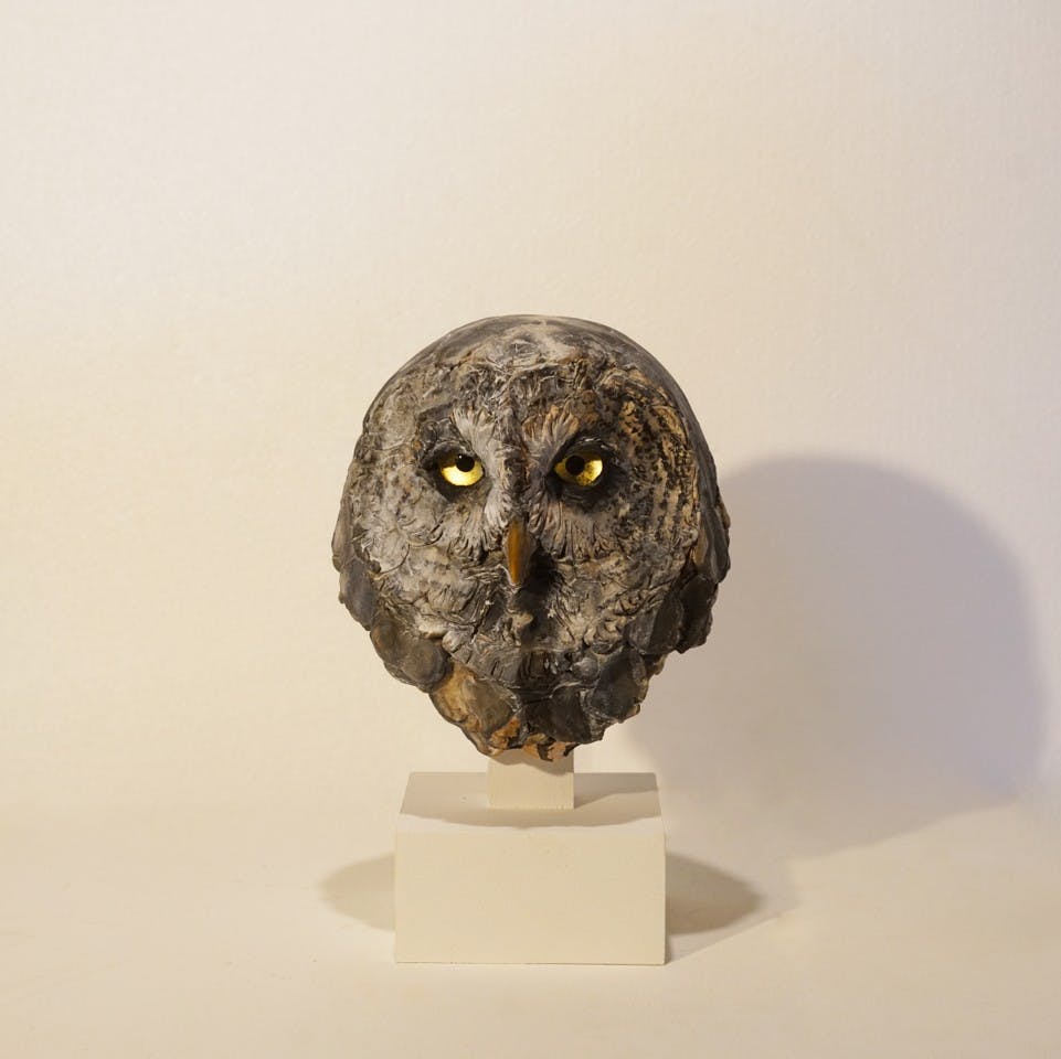 極地の賢者- カラフトフクロウ - (Head)