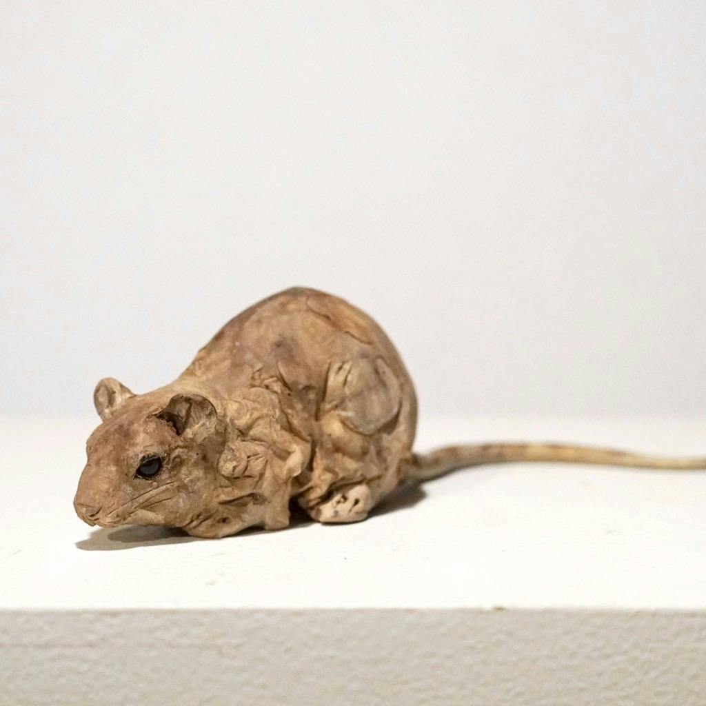 草を行く-ネズミ-