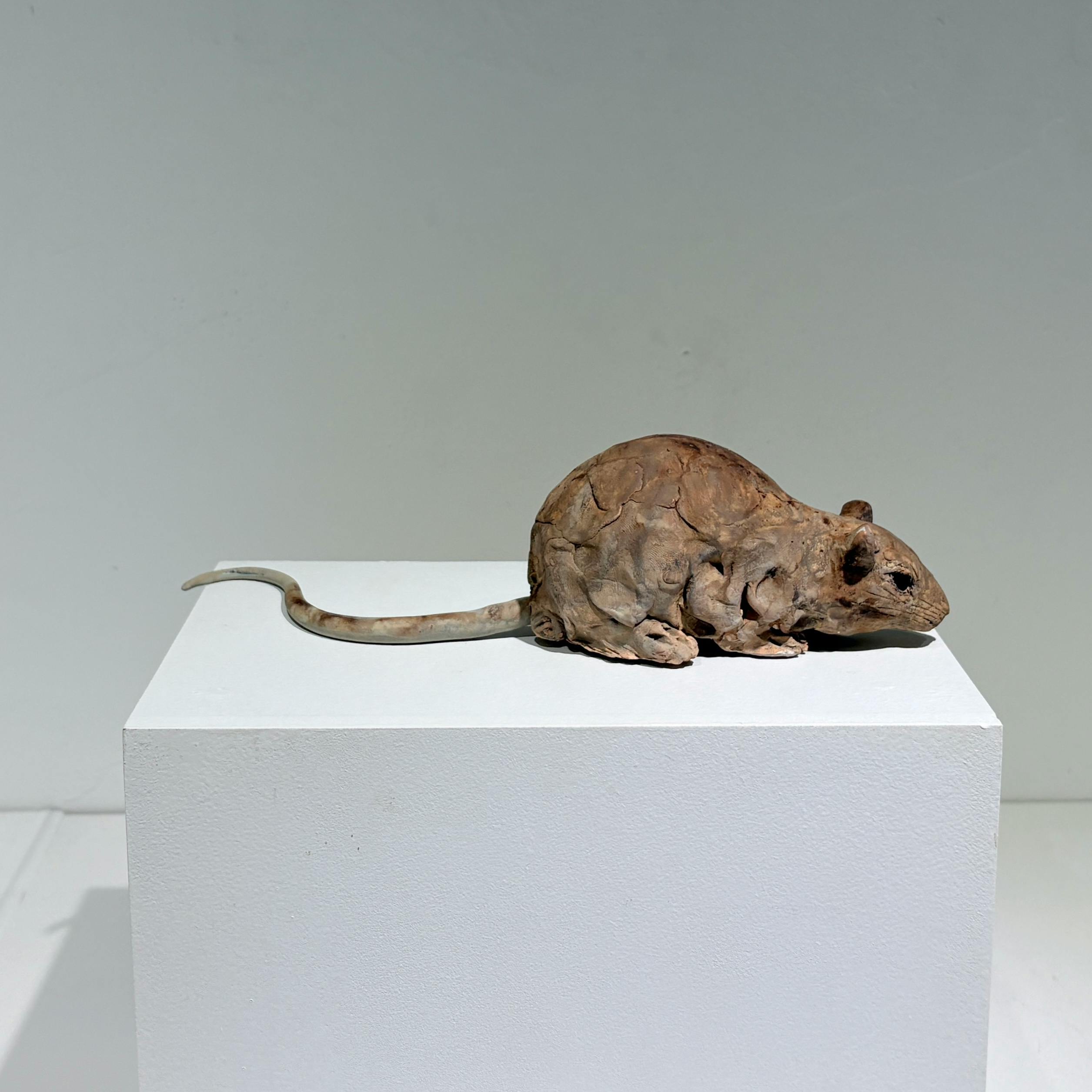 草を行く-ネズミ-