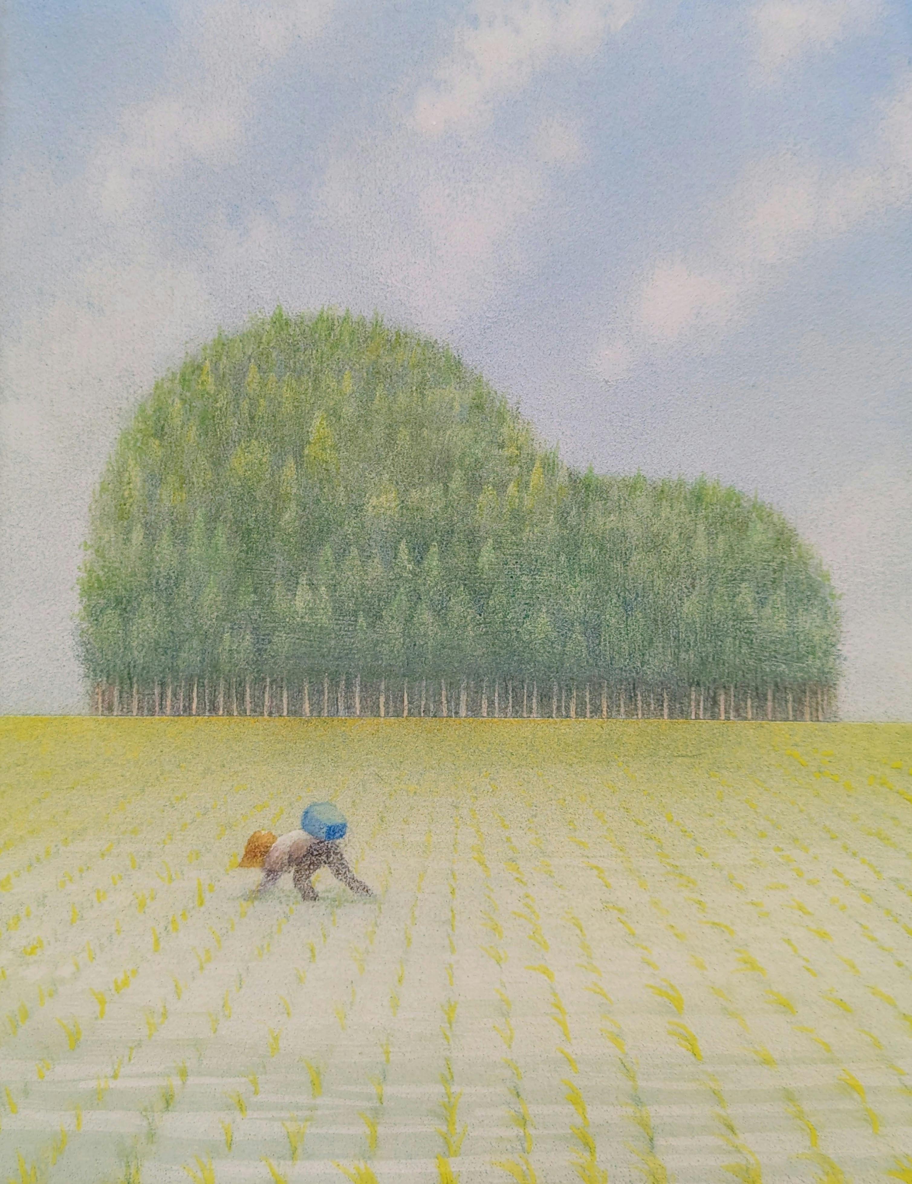 ピアノの森-晴耕-