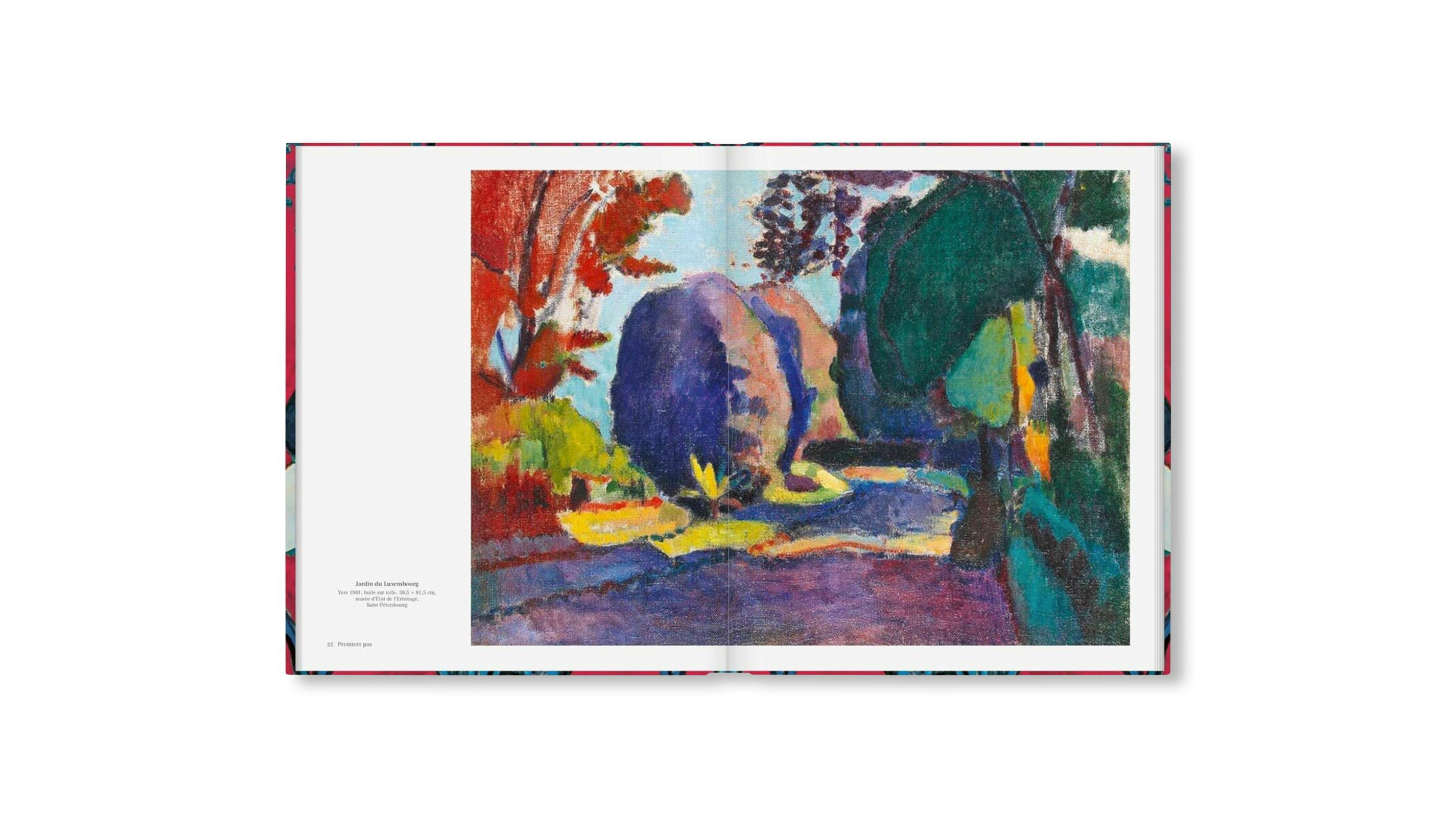 MATISSE - THE BIGGER PICTURE