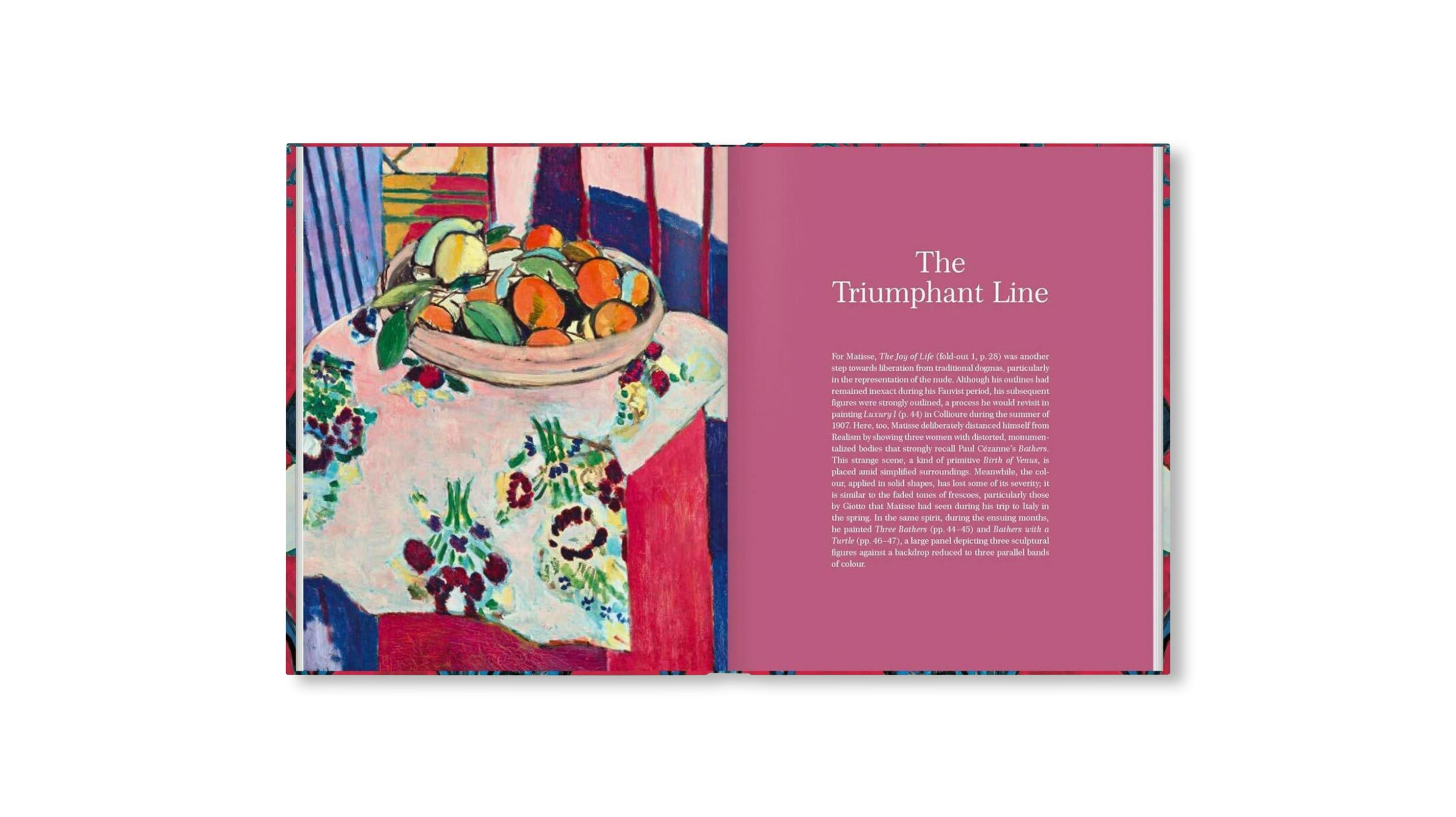 MATISSE - THE BIGGER PICTURE