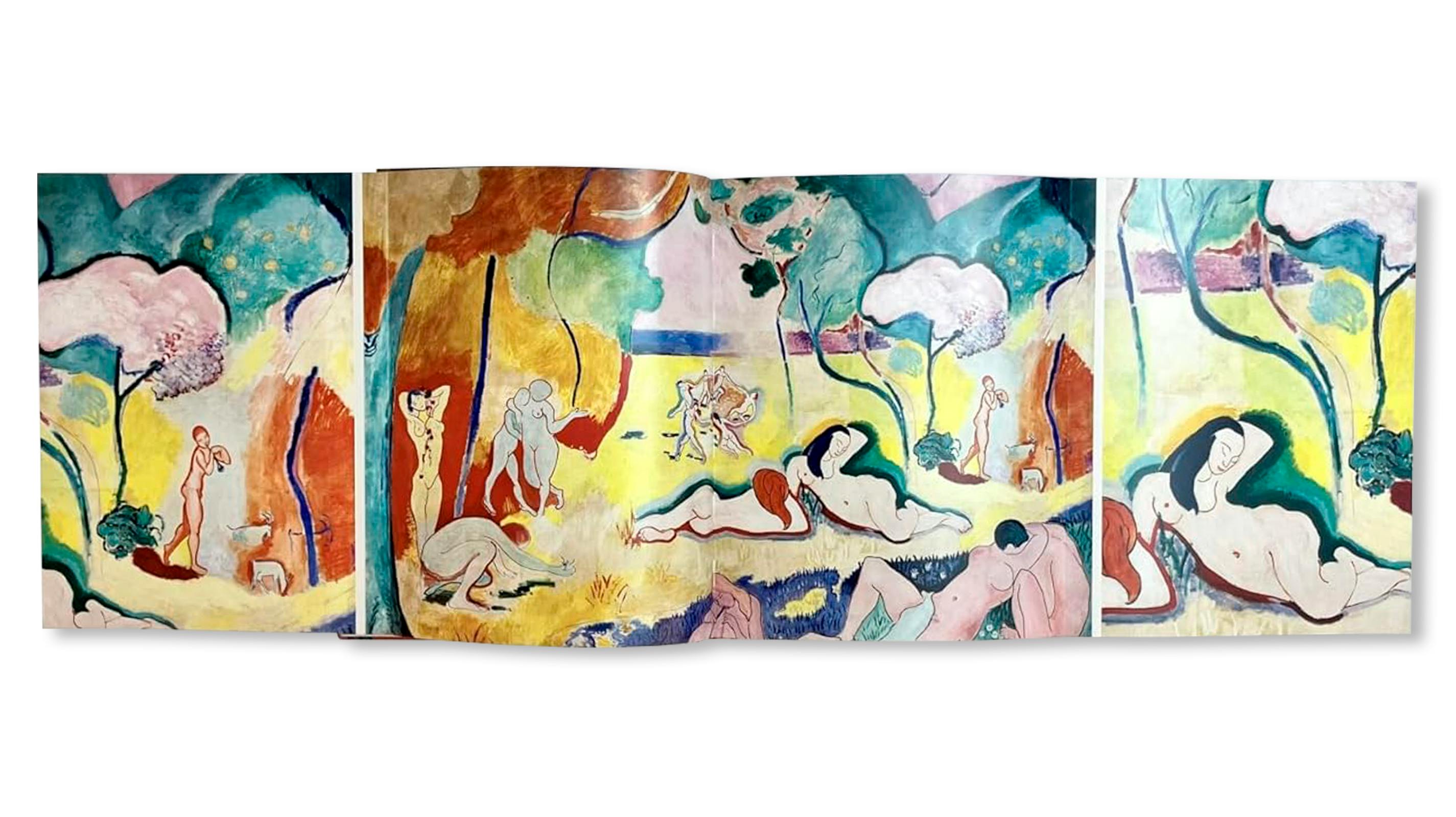 MATISSE - THE BIGGER PICTURE