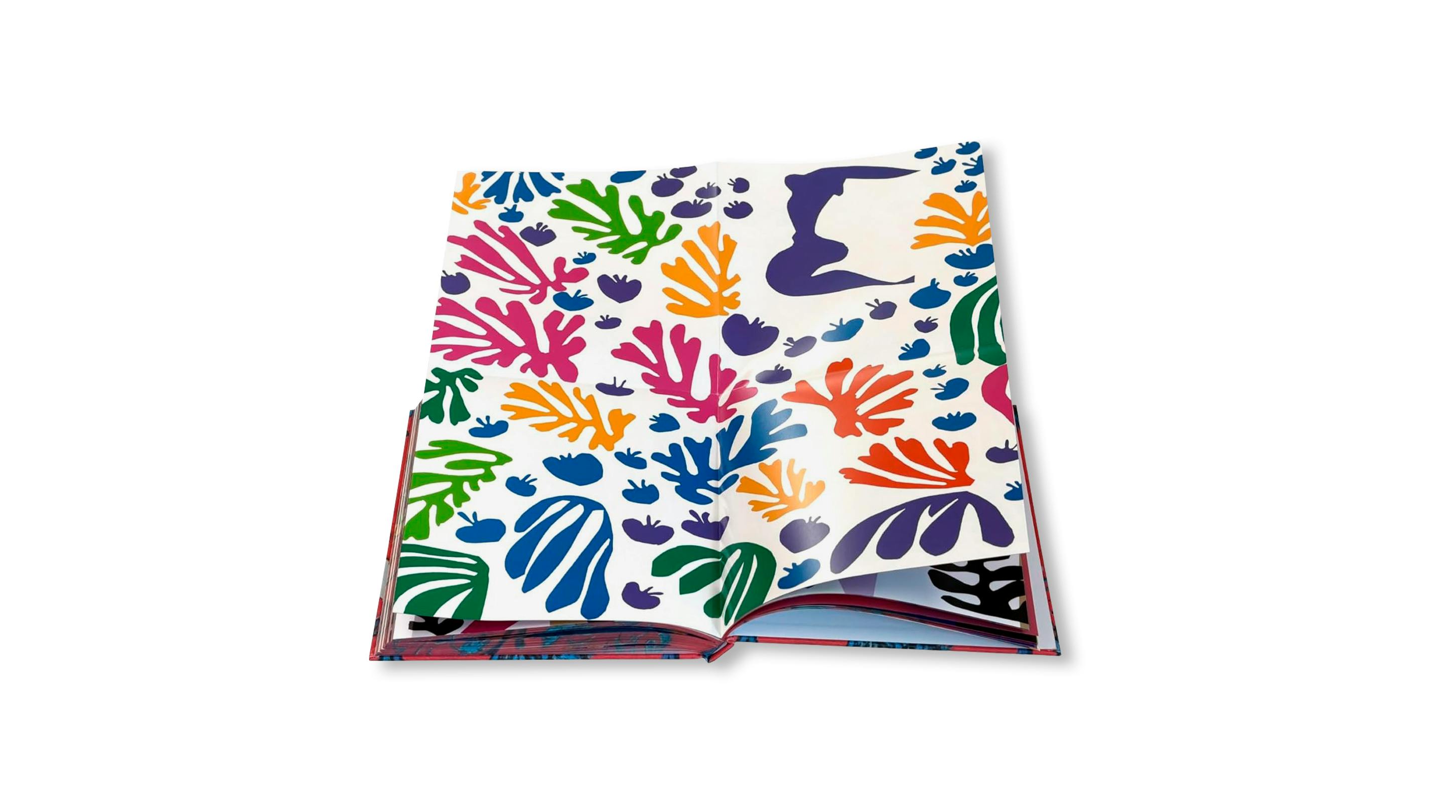MATISSE - THE BIGGER PICTURE